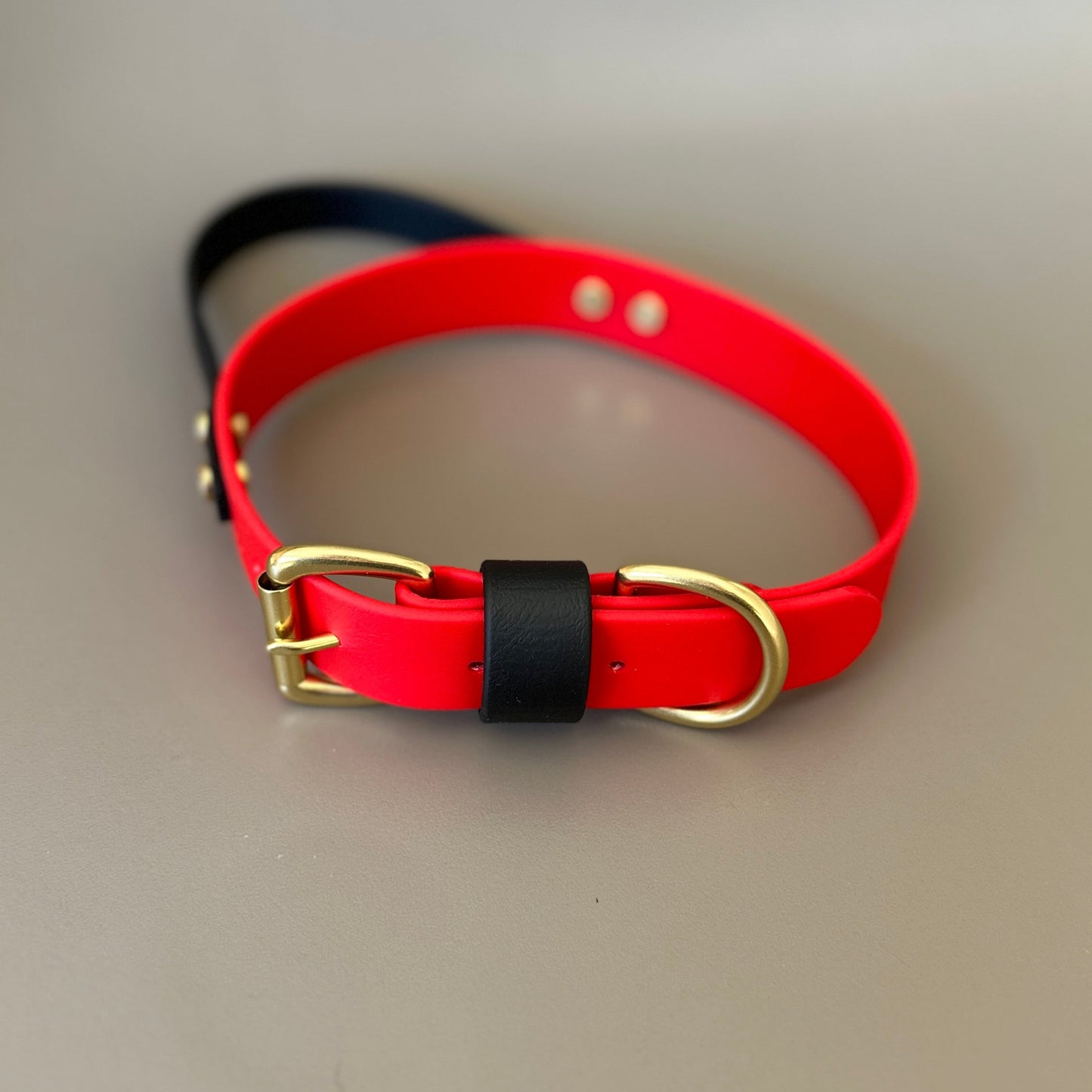 BioThane® Grab Handle Collar