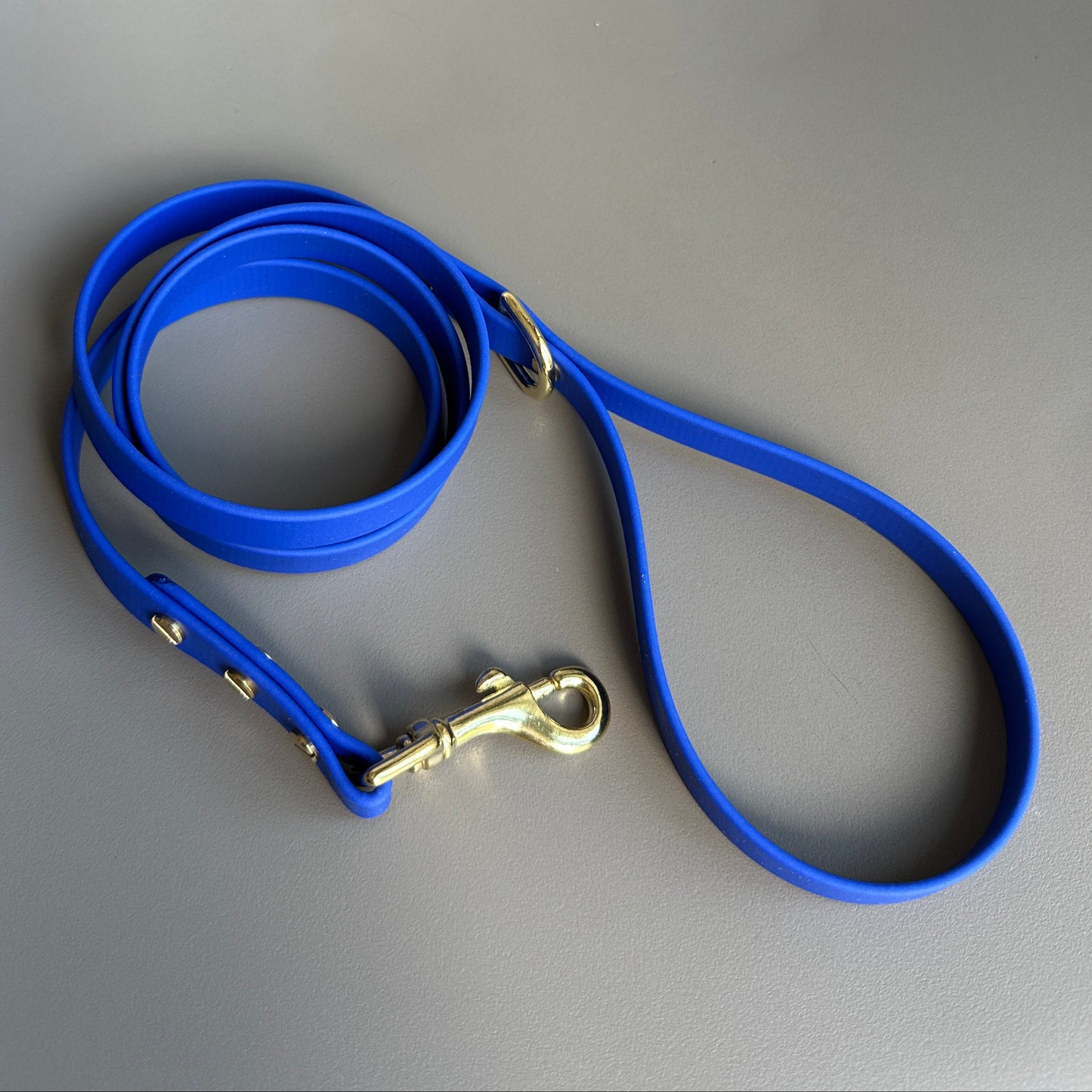 Primary Blue BioThane® Lead