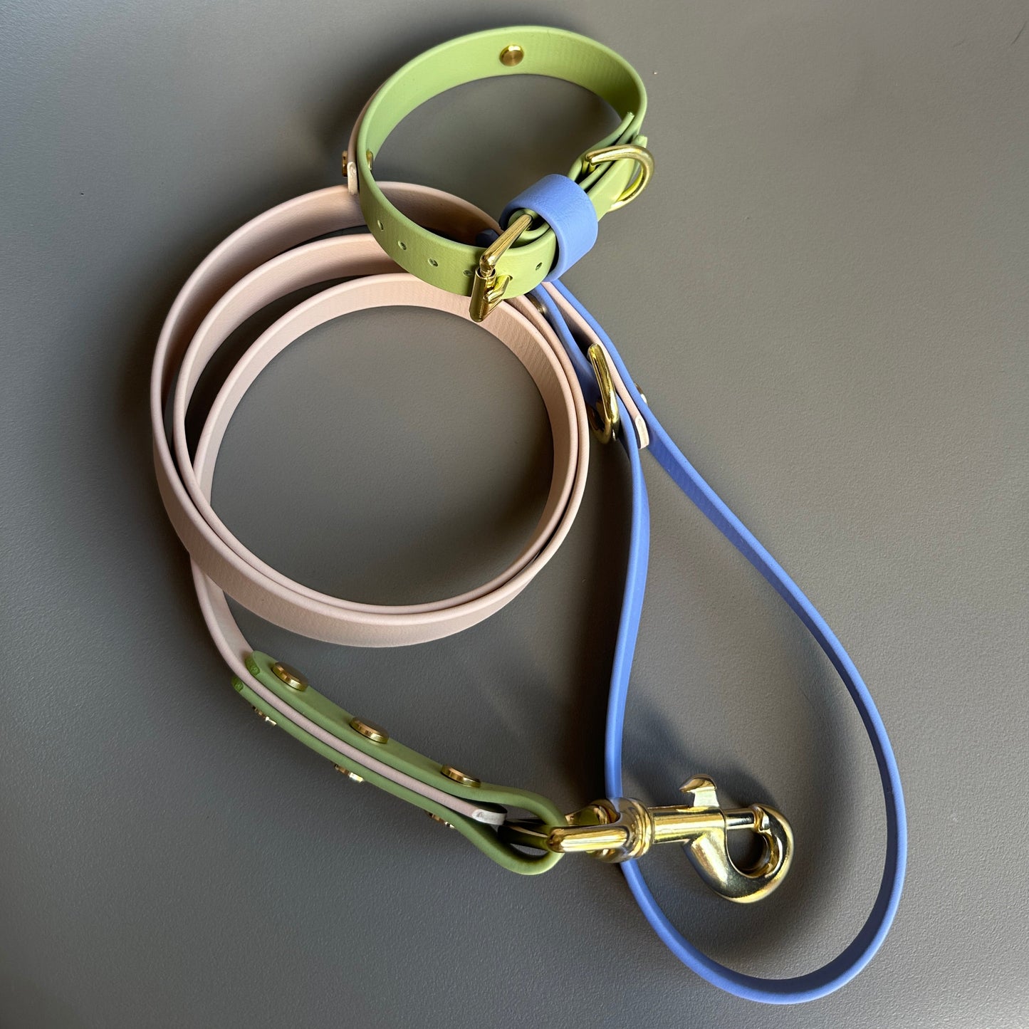 Blueberry Matcha Colourblock BioThane® Lead