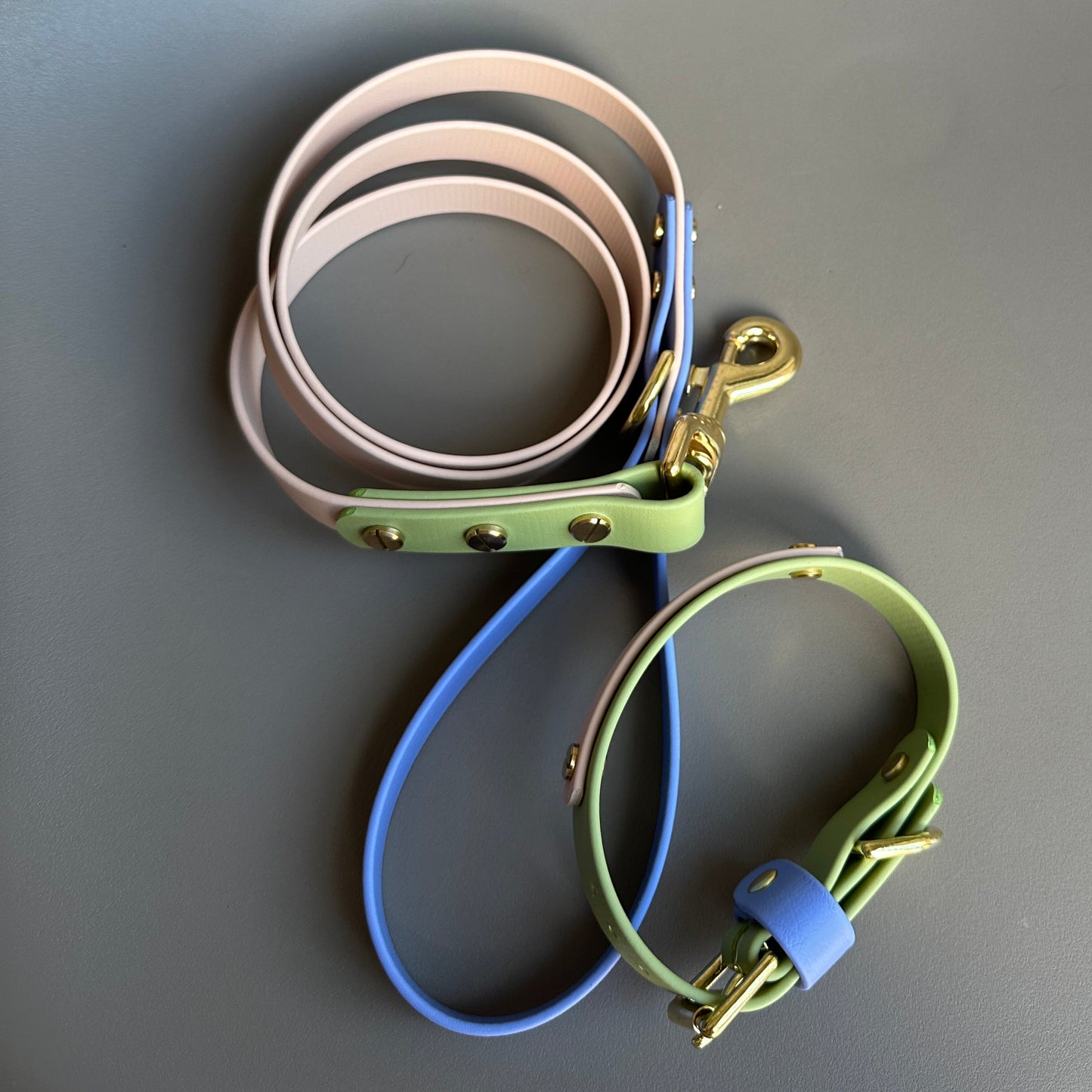 Blueberry Matcha Colourband BioThane® Collar