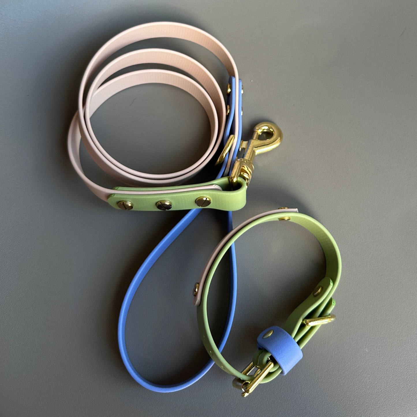 Blueberry Matcha Colourblock BioThane® Lead