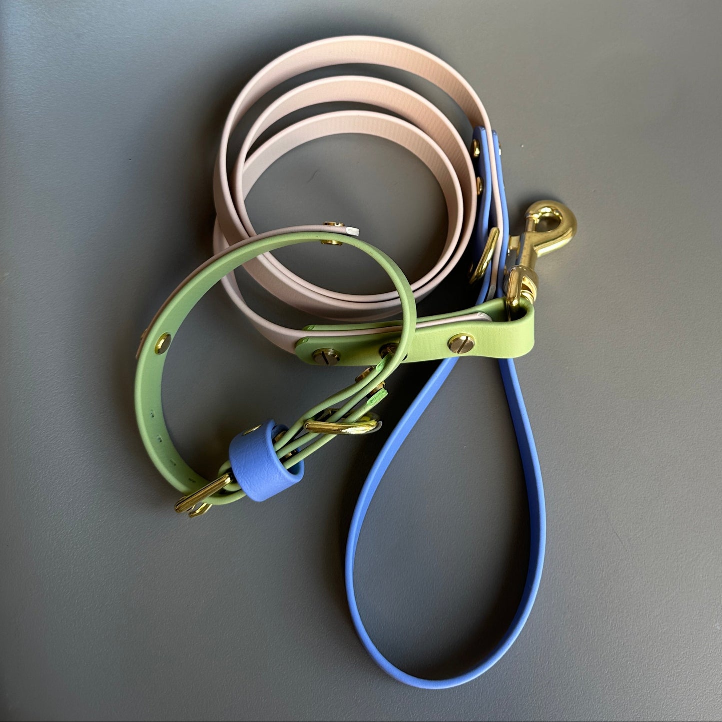 Blueberry Matcha Colourband BioThane® Collar