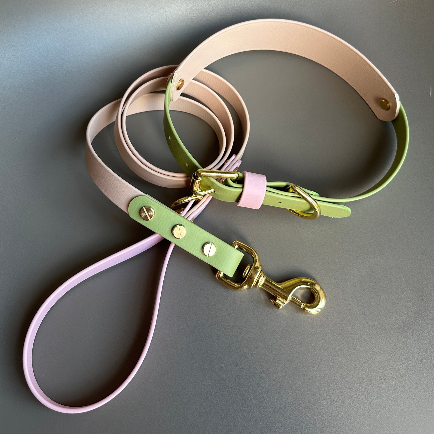 Strawberry Matcha Colourblock BioThane® Lead