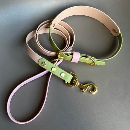 Strawberry Matcha Colourblock BioThane® Lead