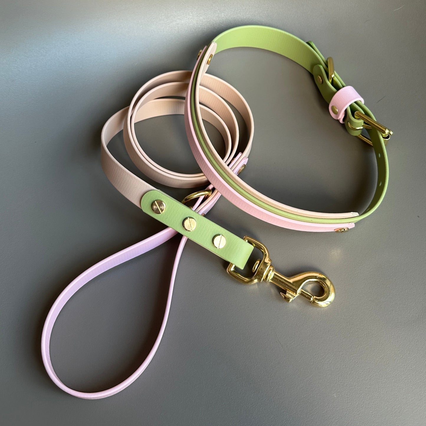 Strawberry Matcha Colourblock BioThane® Lead