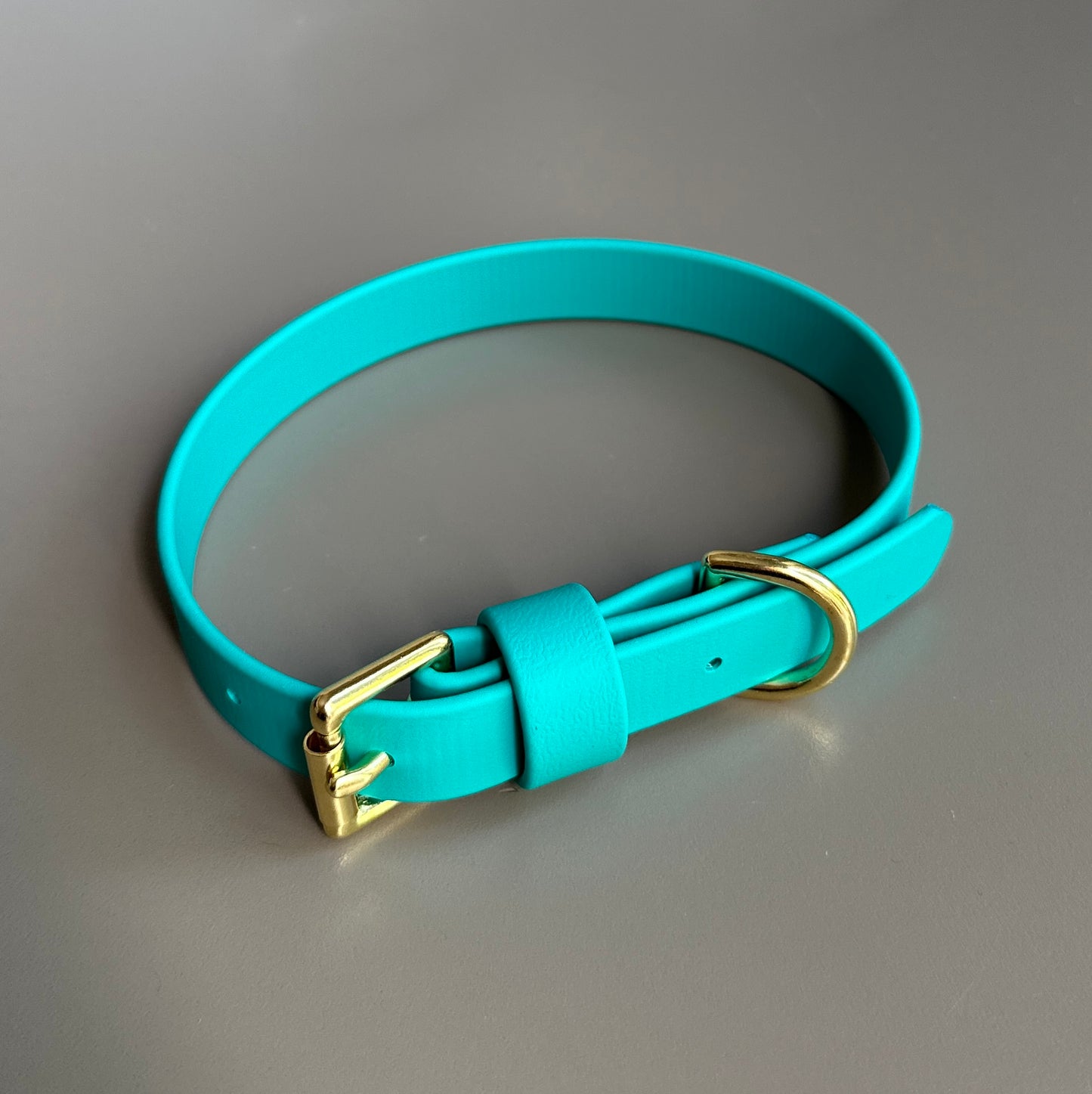 Turquoise BioThane® Collar