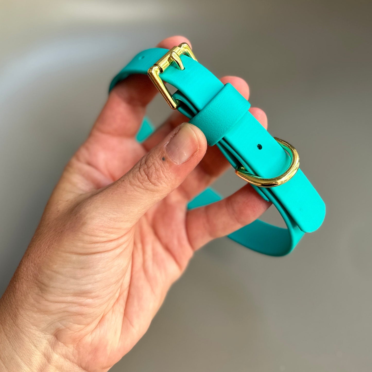 Turquoise BioThane® Collar