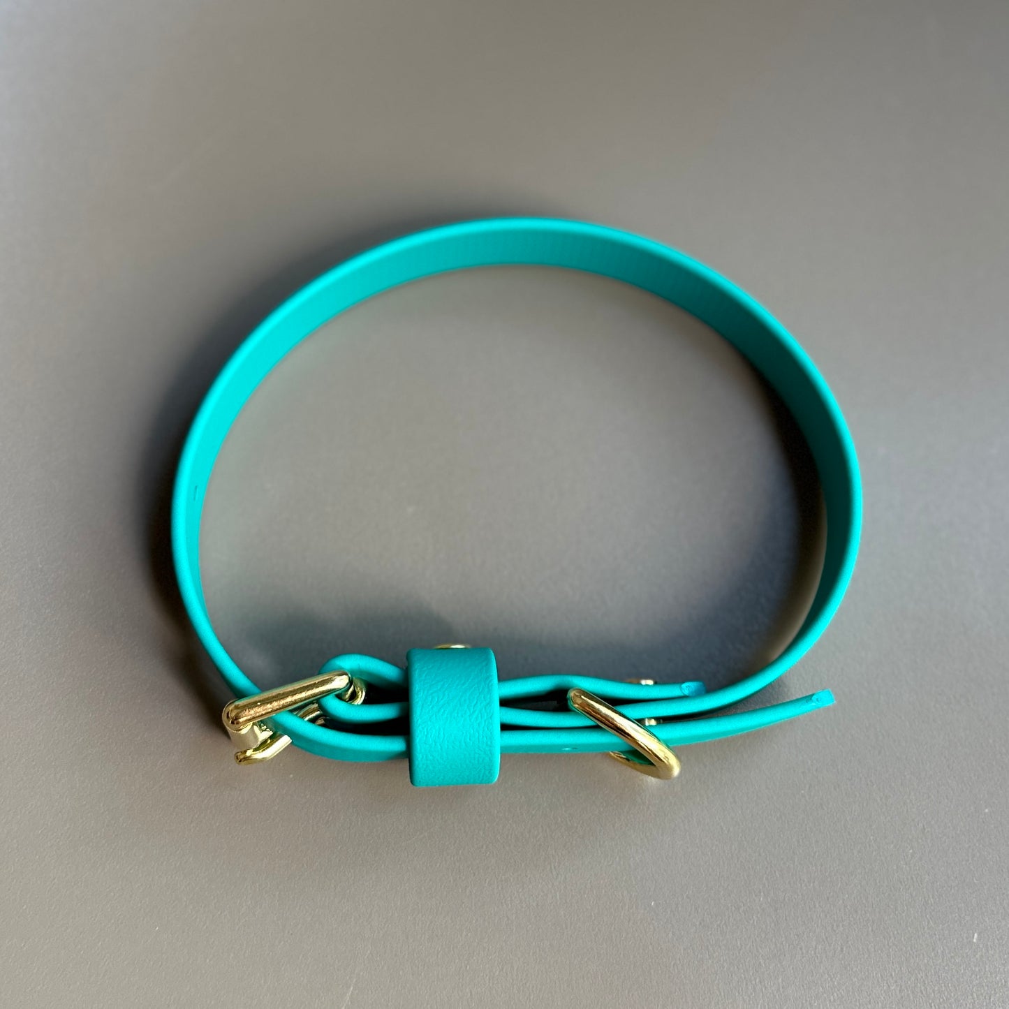 Turquoise BioThane® Collar