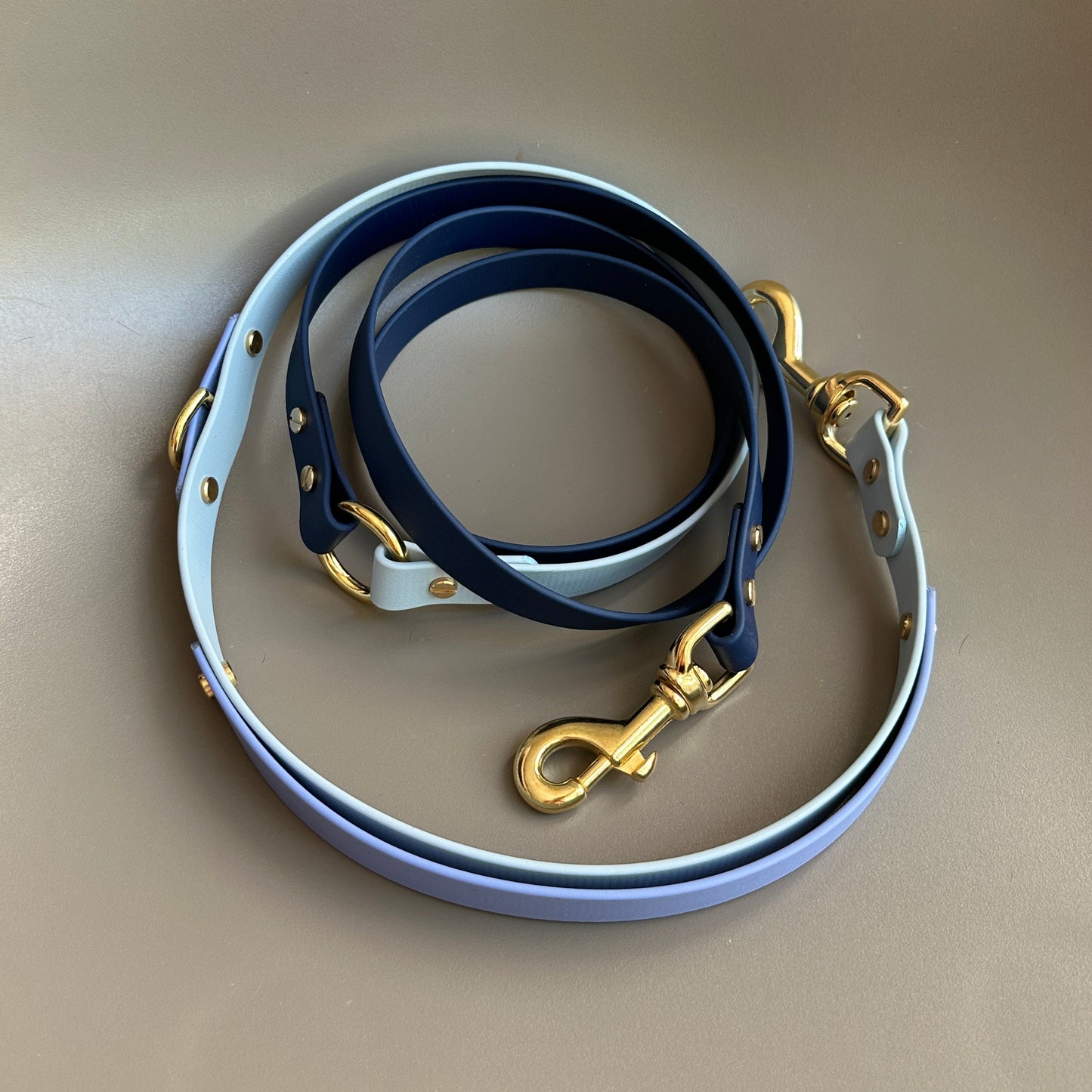The Blues Multiway Colourband BioThane® Lead