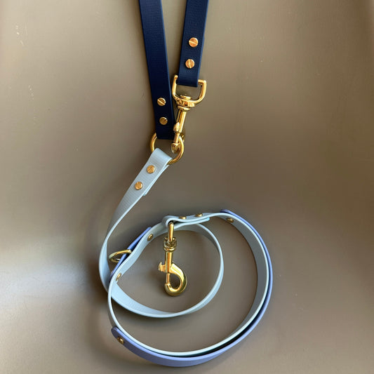 The Blues Multiway Colourband BioThane® Lead