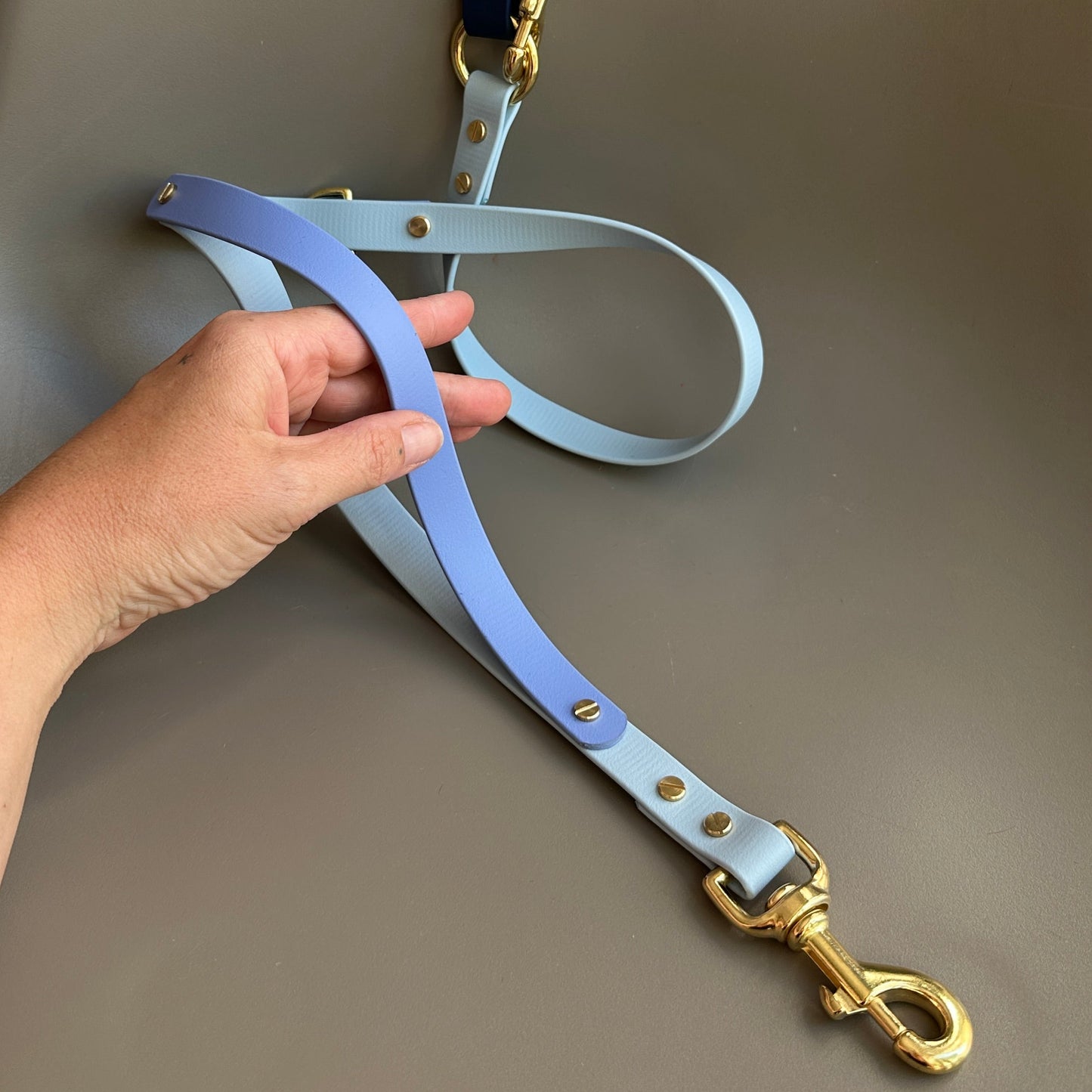 The Blues Multiway Colourband BioThane® Lead