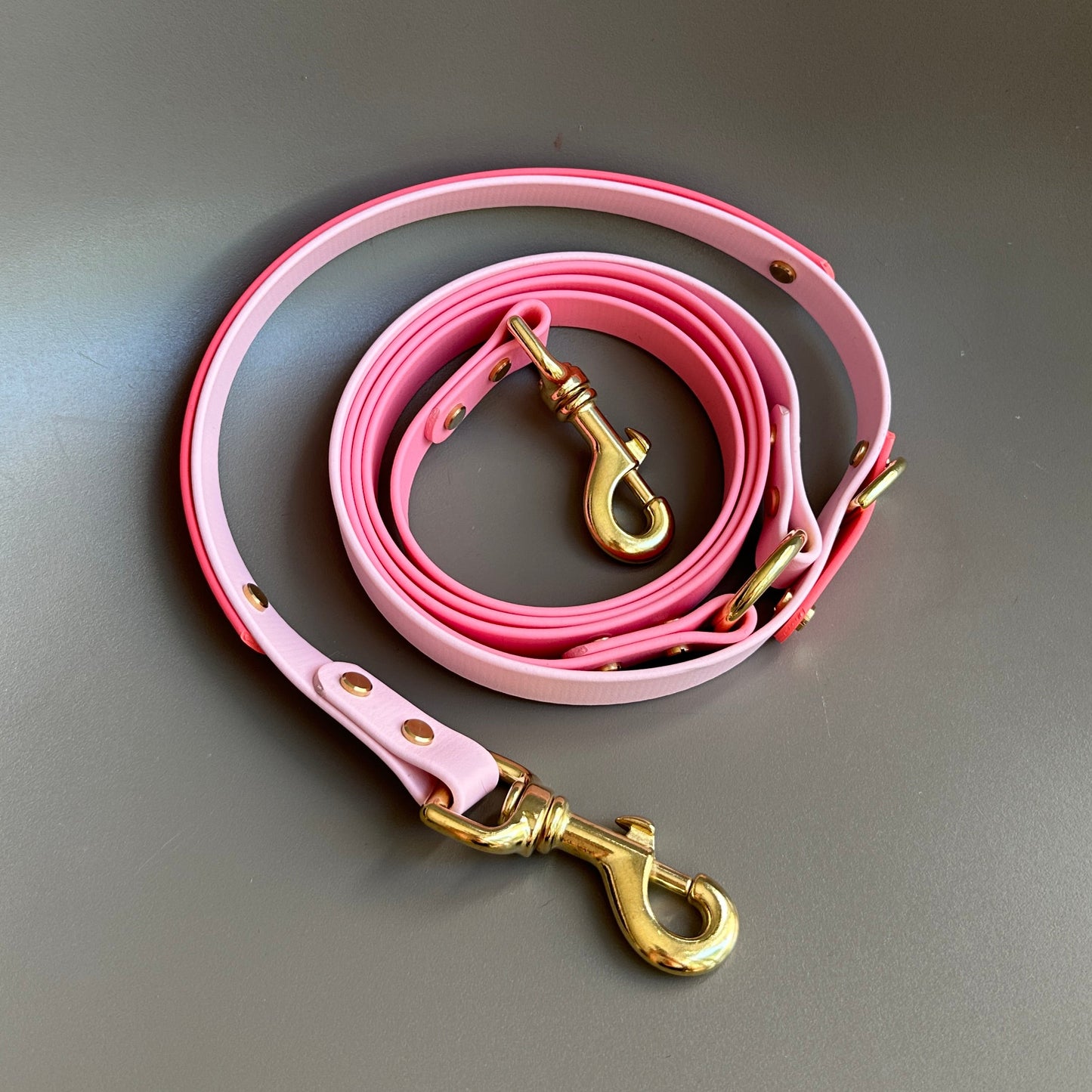 The Pinks Multiway Colourband BioThane® Lead