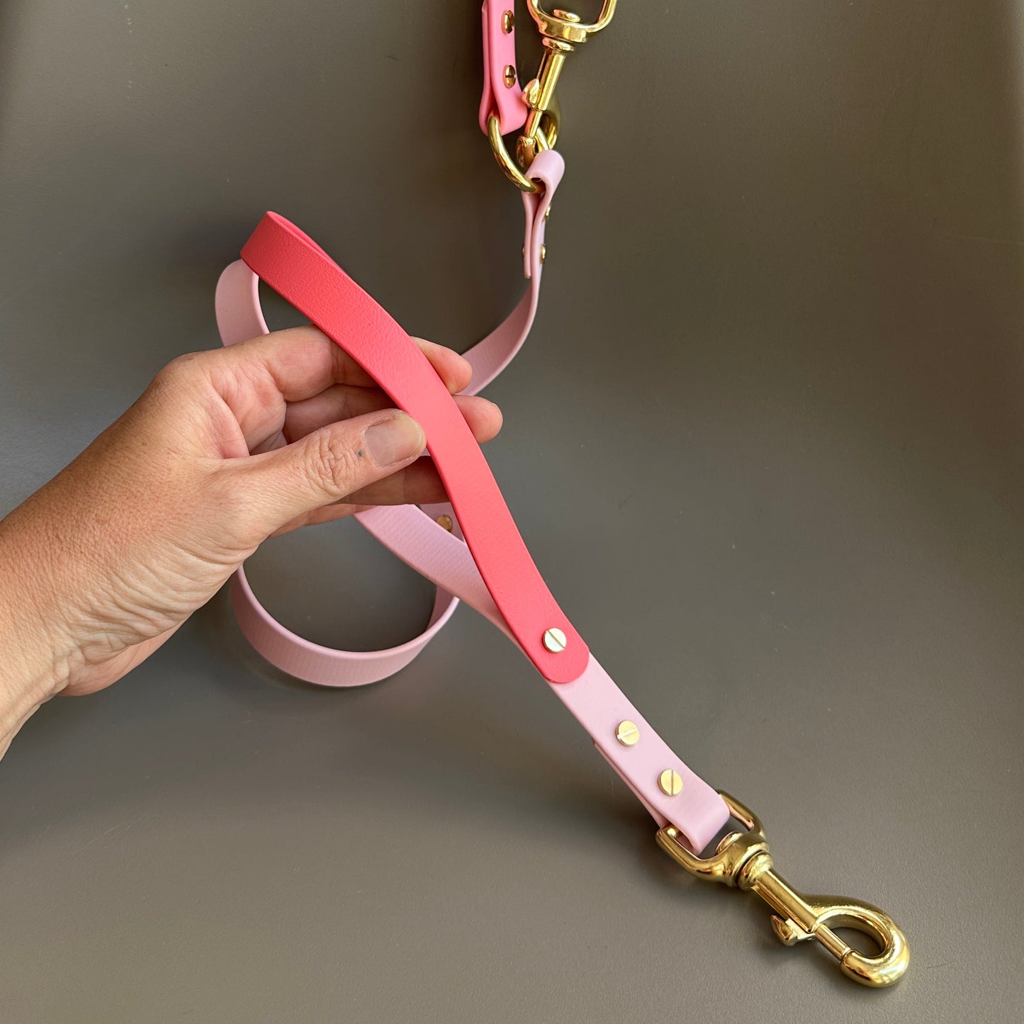 The Pinks Multiway Colourband BioThane® Lead