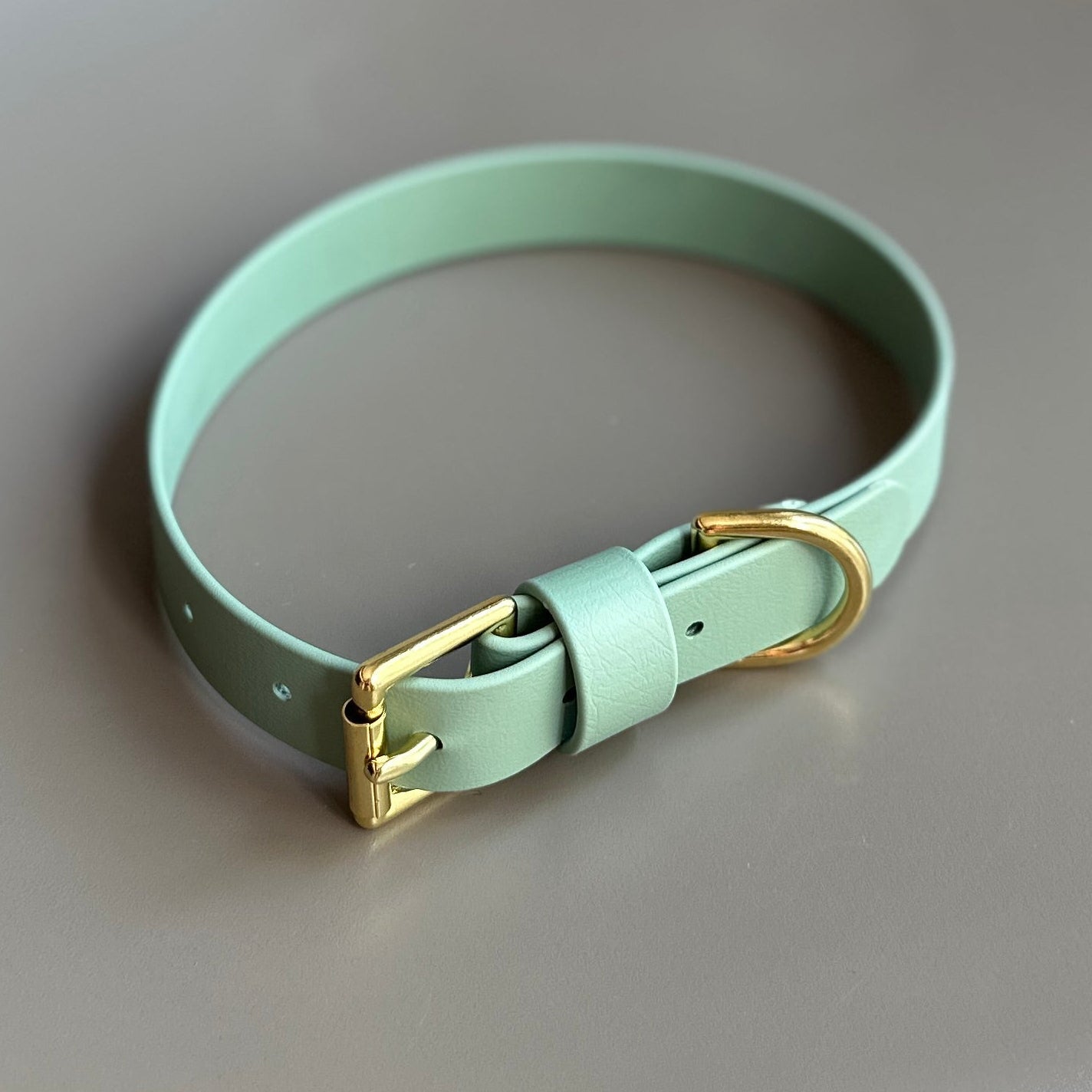 Sage Green BioThane® Collar