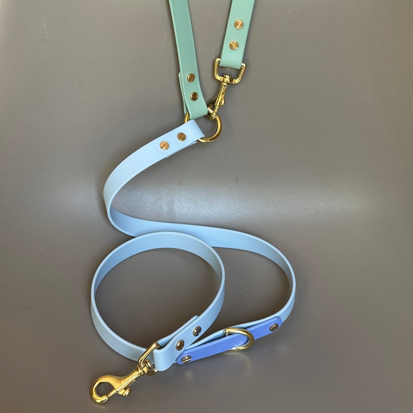 Ralphy Crossbody Multiway BioThane® Lead