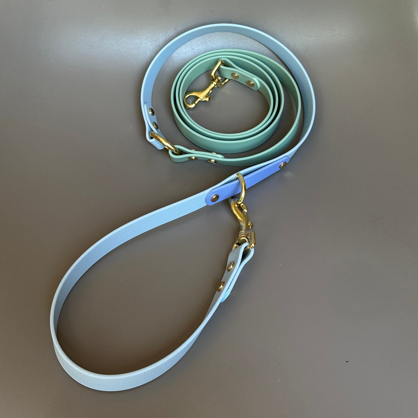 Ralphy Crossbody Multiway BioThane® Lead