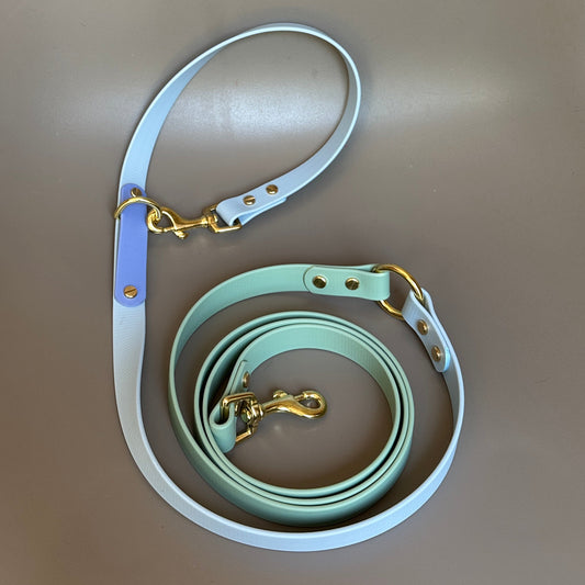 Ralphy Crossbody Multiway BioThane® Lead