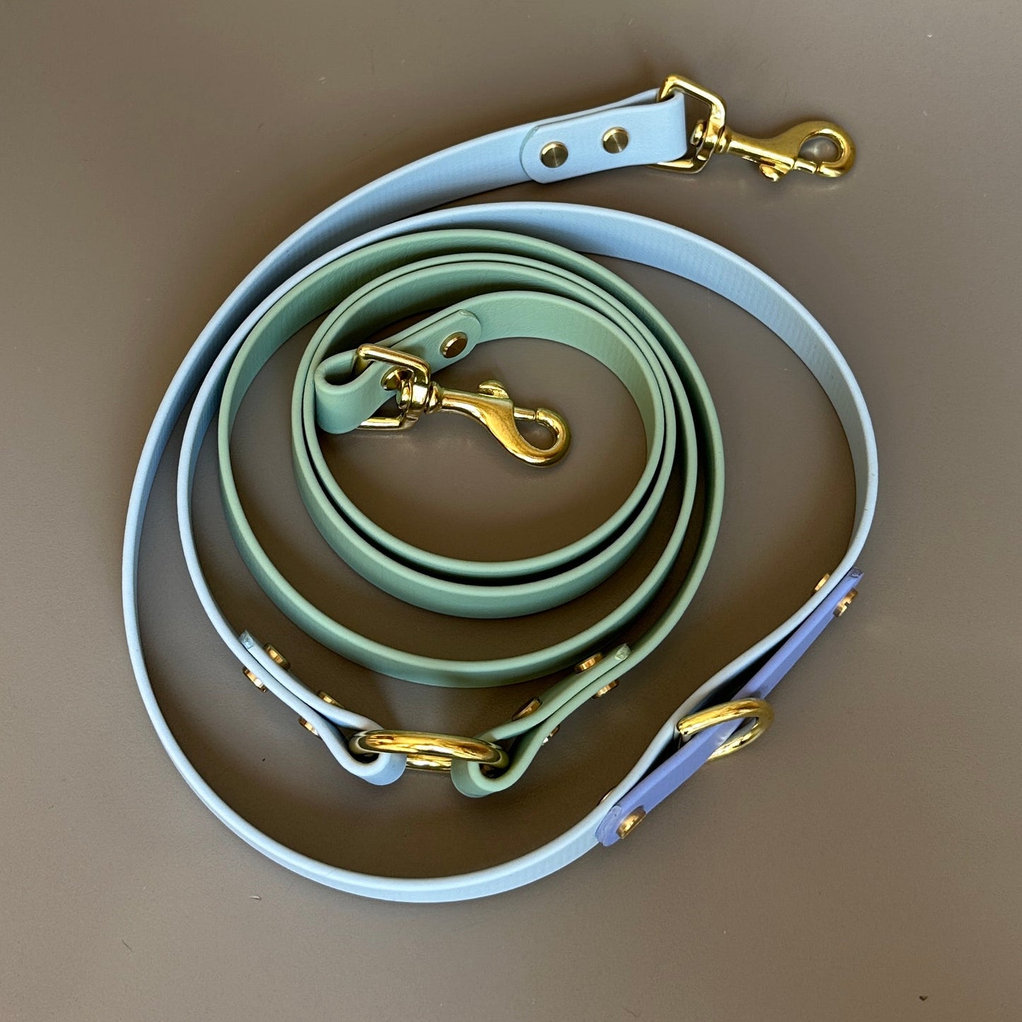 Ralphy Crossbody Multiway BioThane® Lead