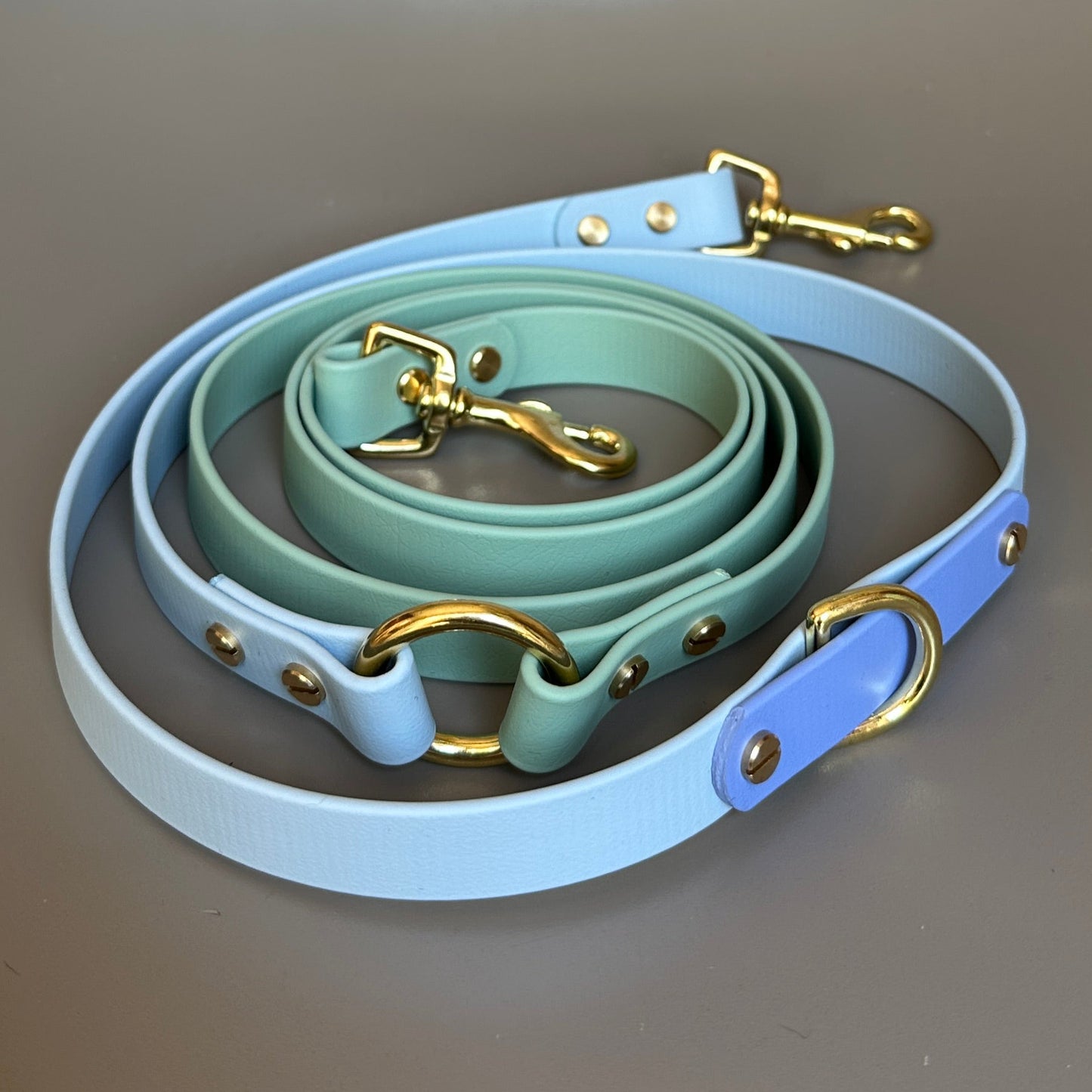 Ralphy Crossbody Multiway BioThane® Lead