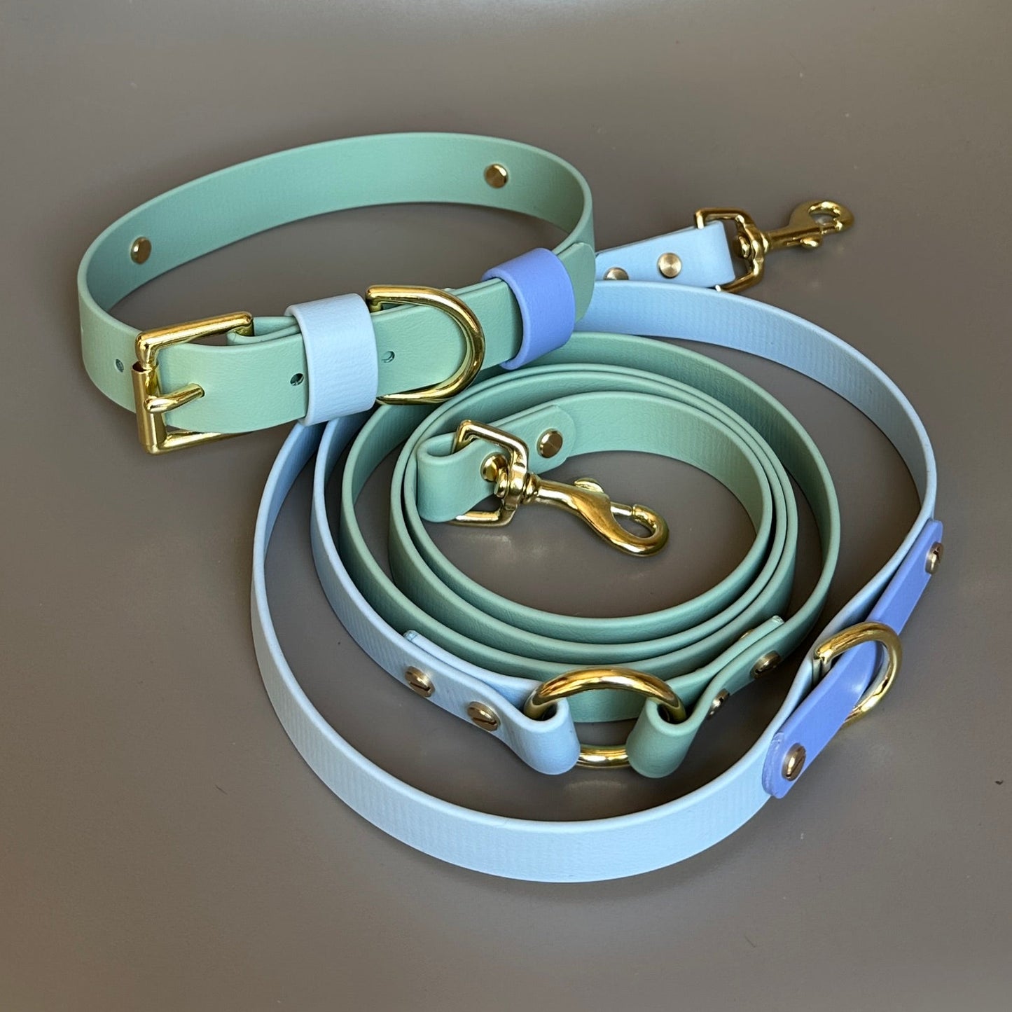 Ralphy Colourband BioThane® Collar