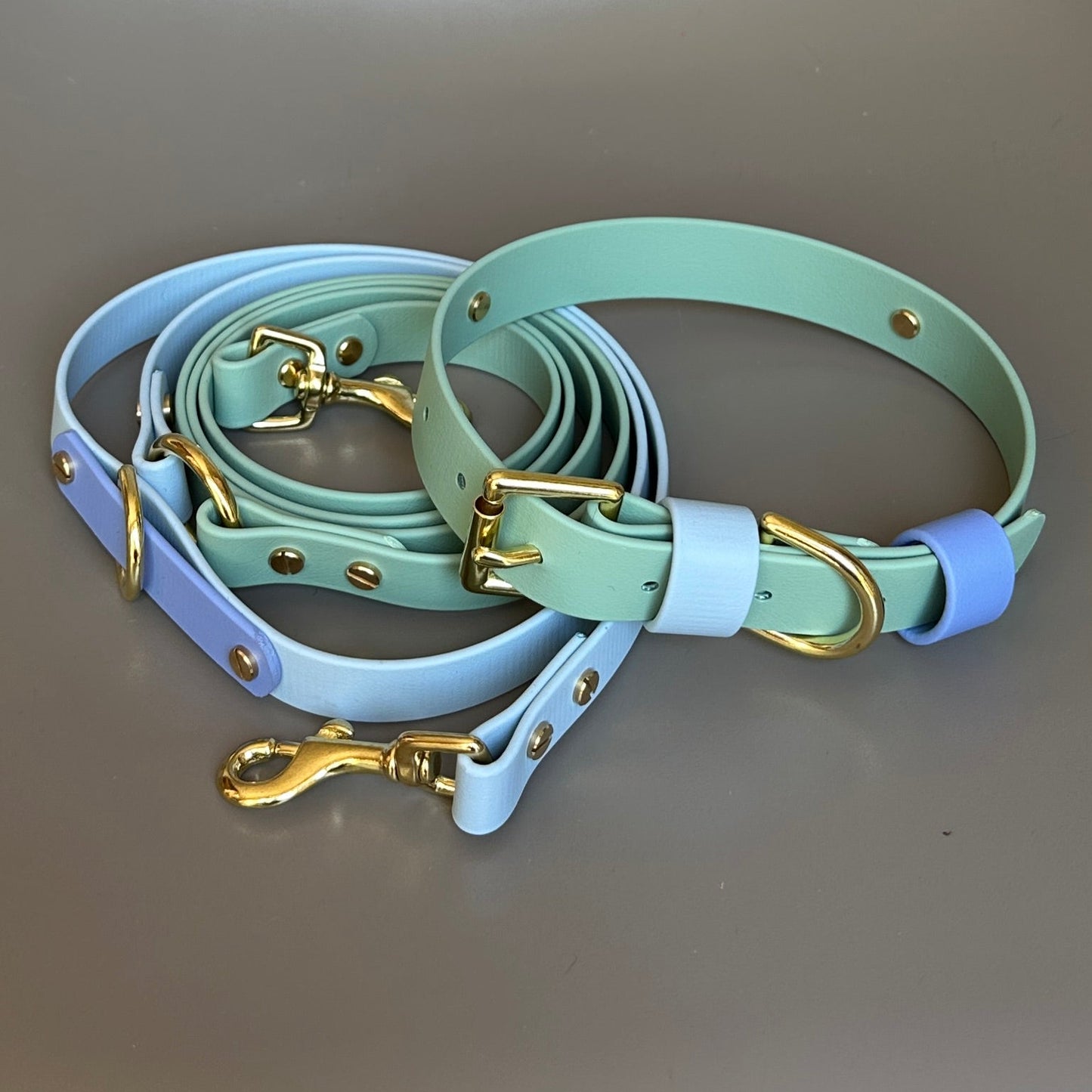 Ralphy Colourband BioThane® Collar