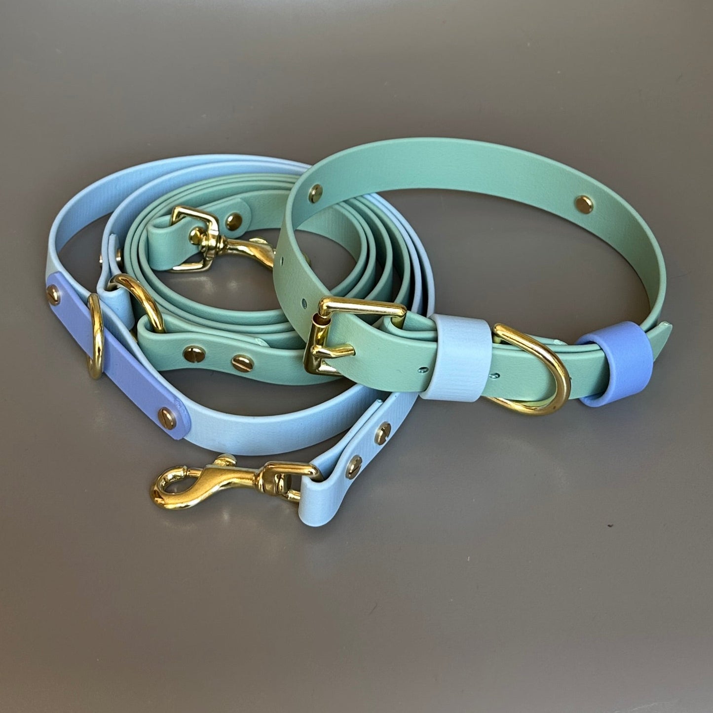Ralphy Crossbody Multiway BioThane® Lead