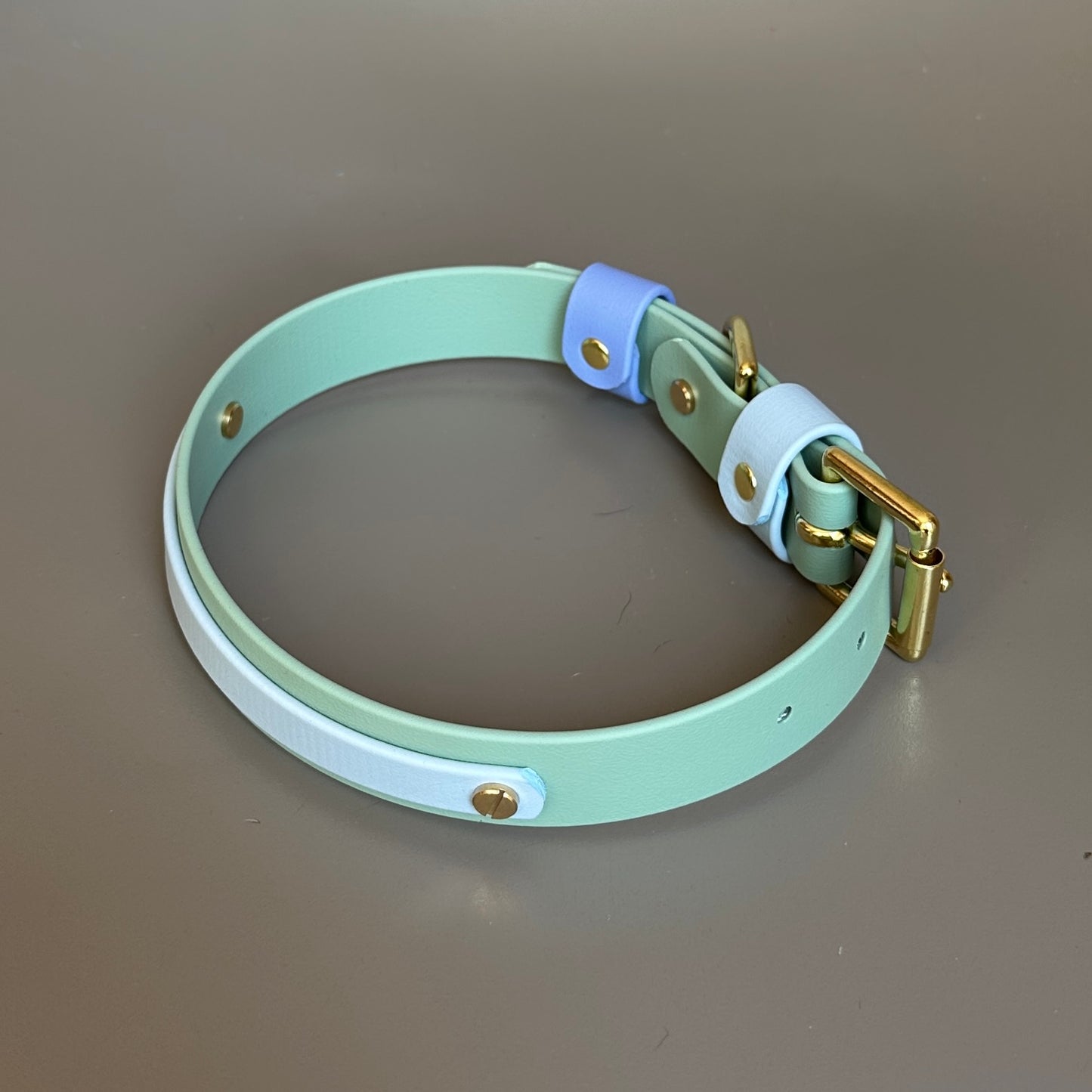 Ralphy Colourband BioThane® Collar