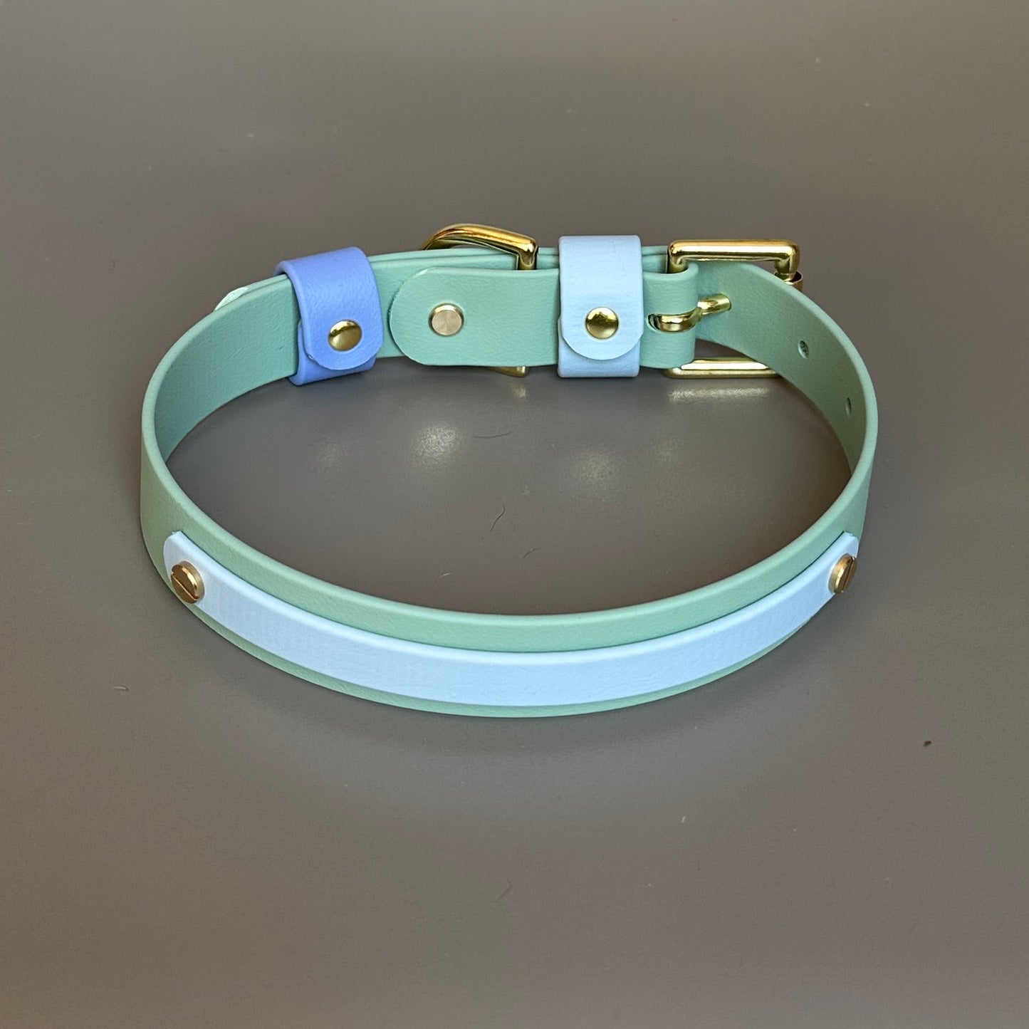 Ralphy Colourband BioThane® Collar