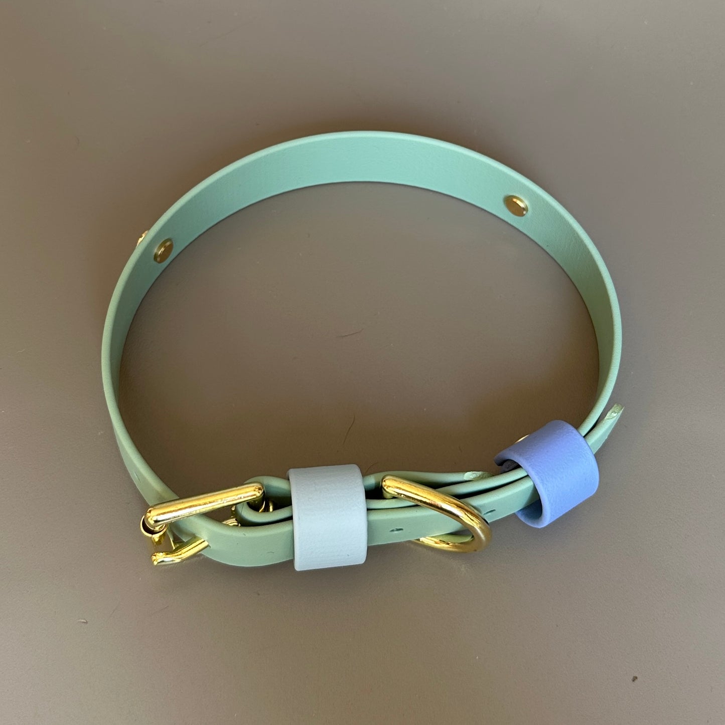 Ralphy Colourband BioThane® Collar