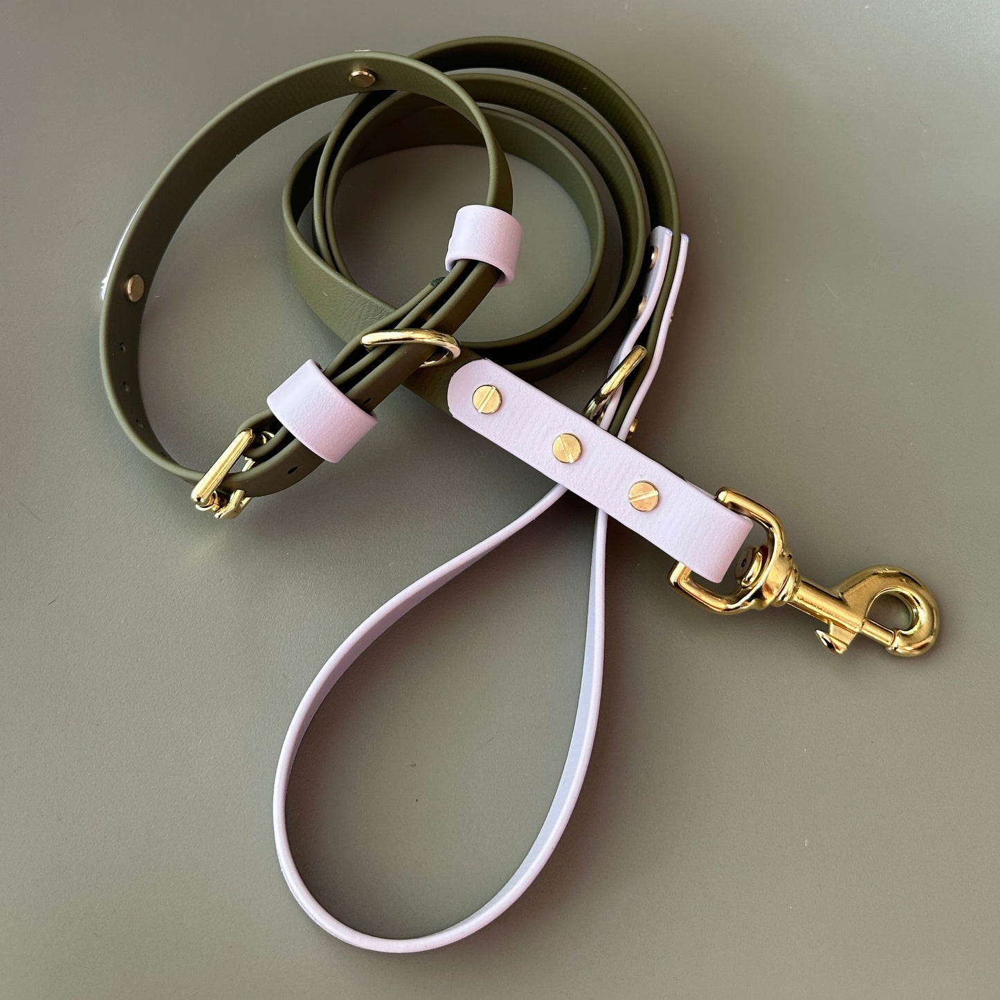 Saige Colourband BioThane® Collar