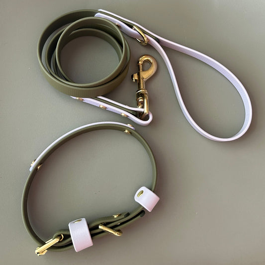 Saige Colourband BioThane® Collar