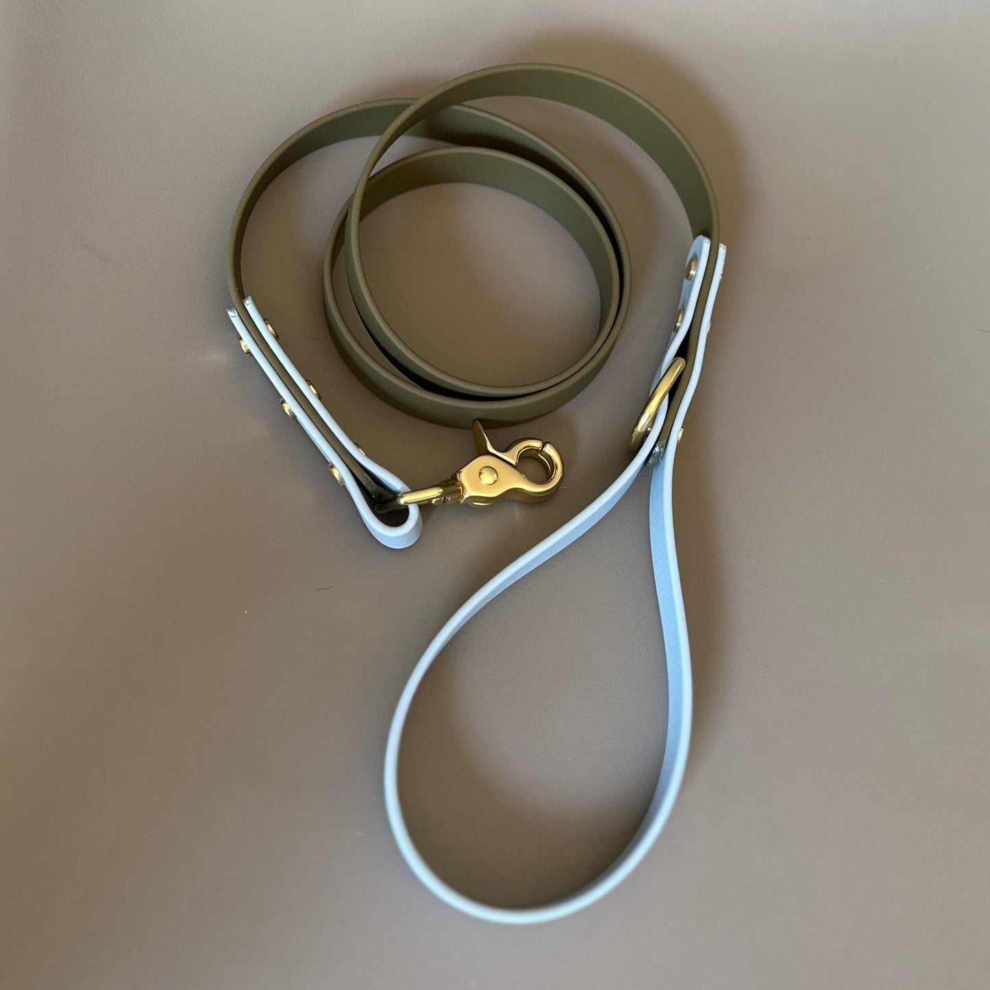 Rupert Colourblock BioThane® Lead
