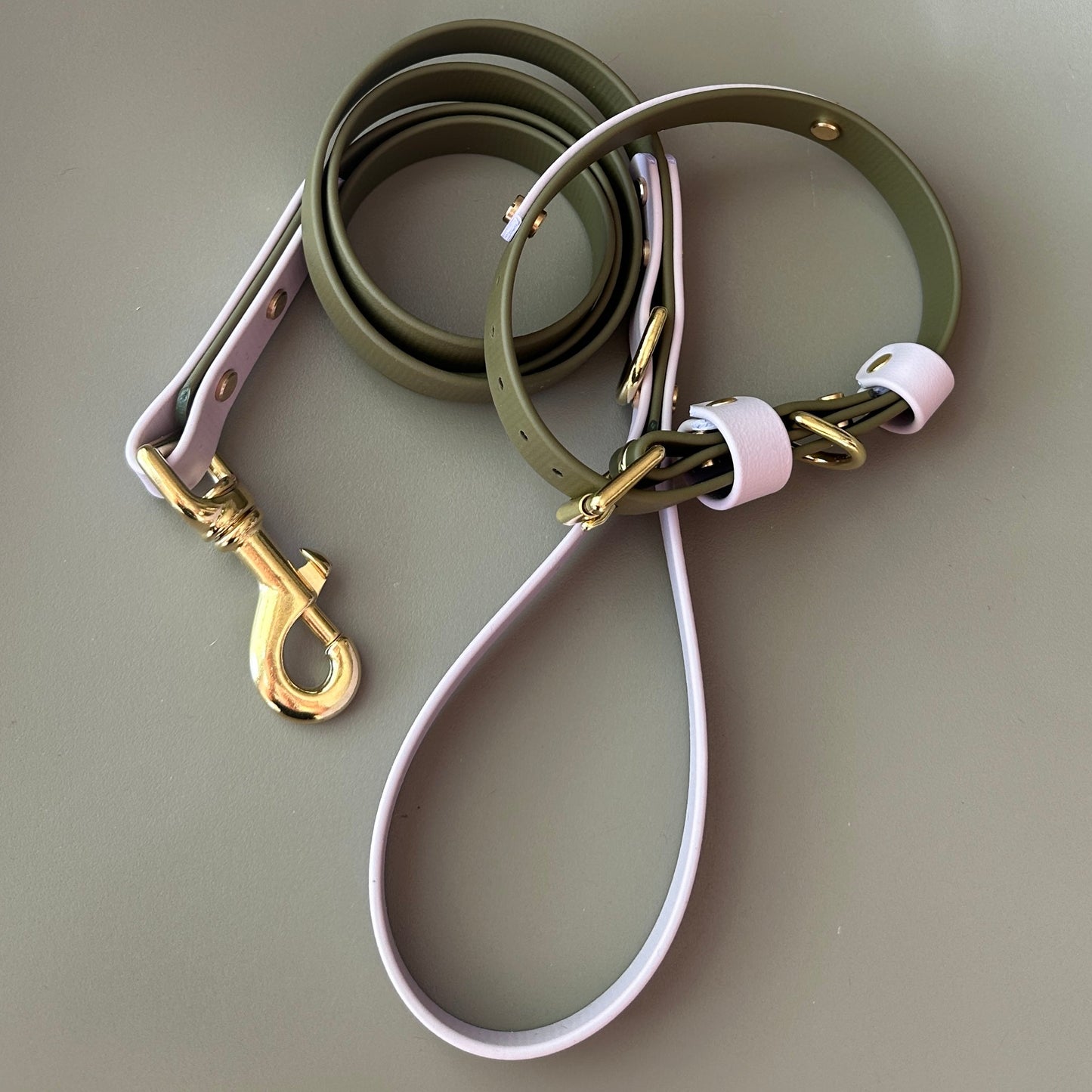 Saige Colourband BioThane® Collar