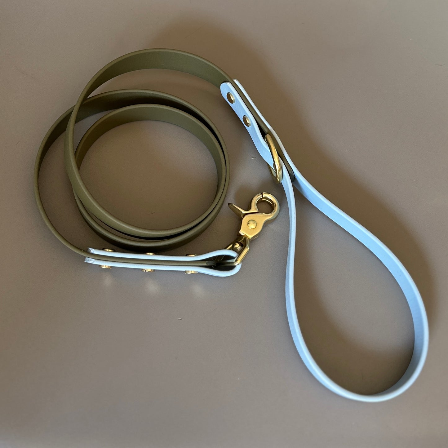 Rupert Colourblock BioThane® Lead