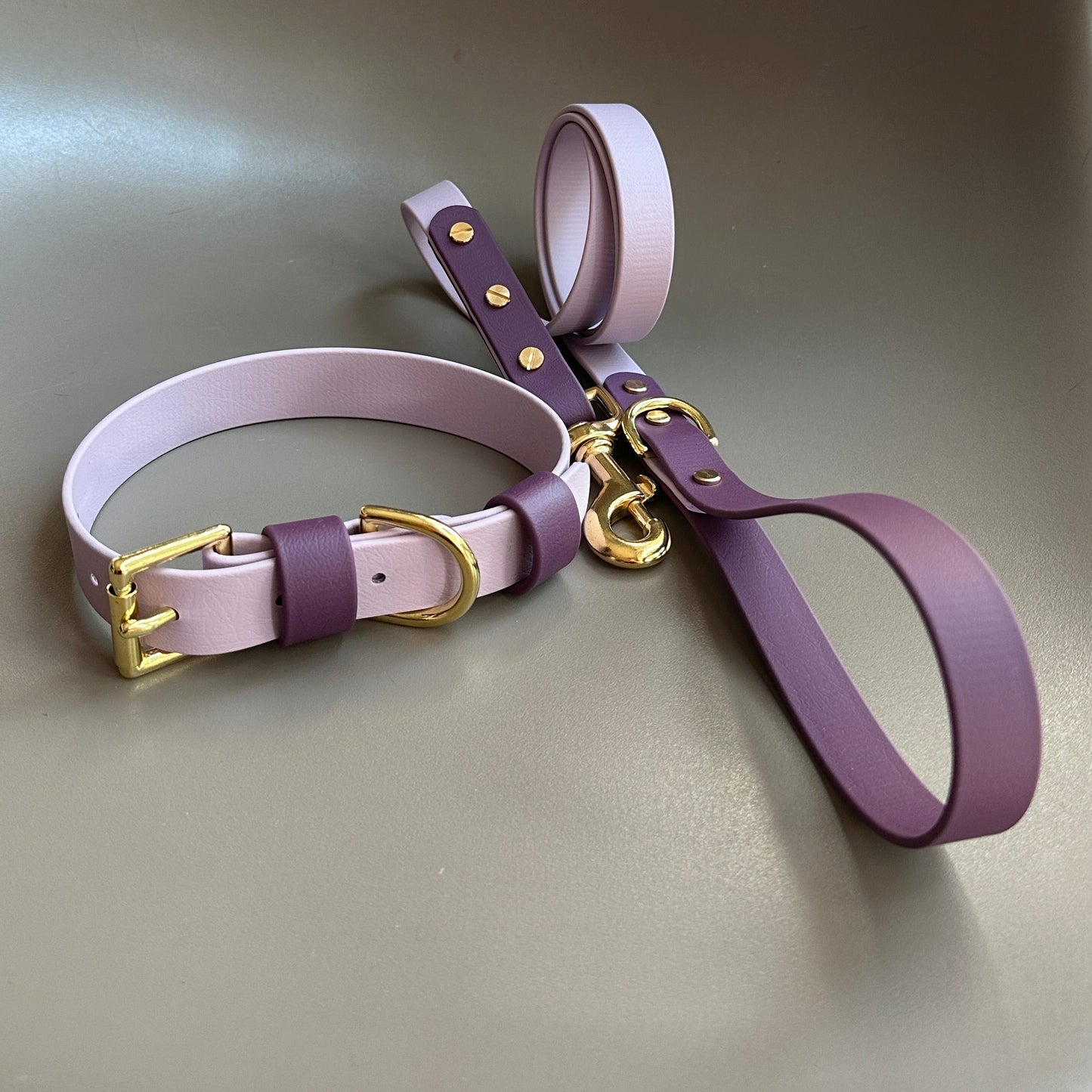 Saffy Colourblock BioThane® Lead
