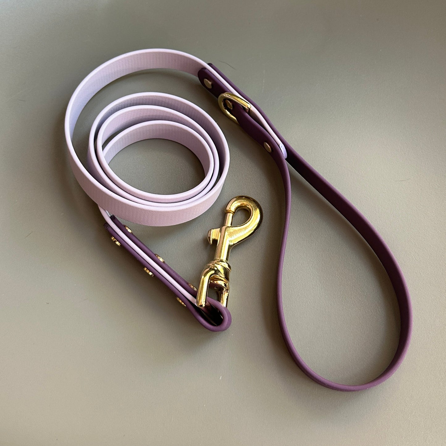 Saffy Colourblock BioThane® Lead
