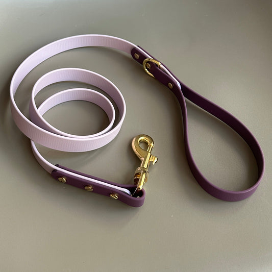 Saffy Colourblock BioThane® Lead