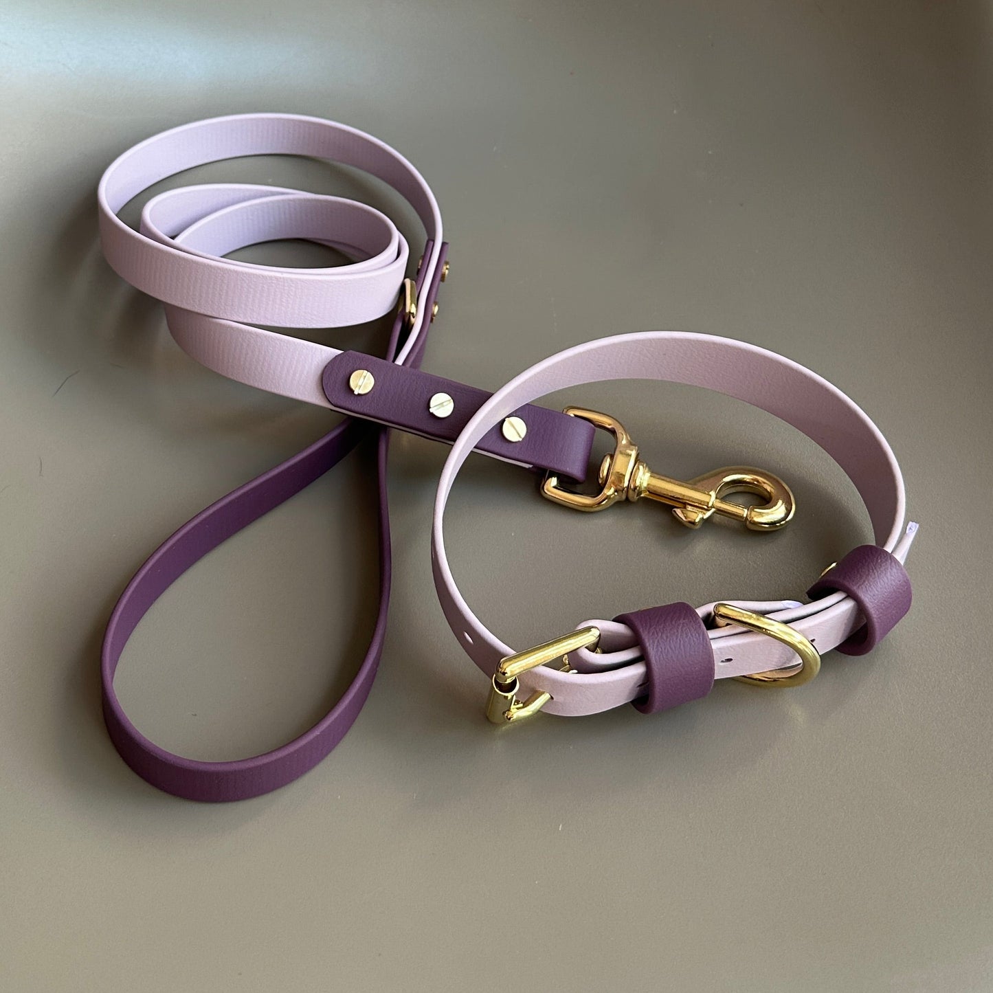 Saffy Colourblock BioThane® Lead
