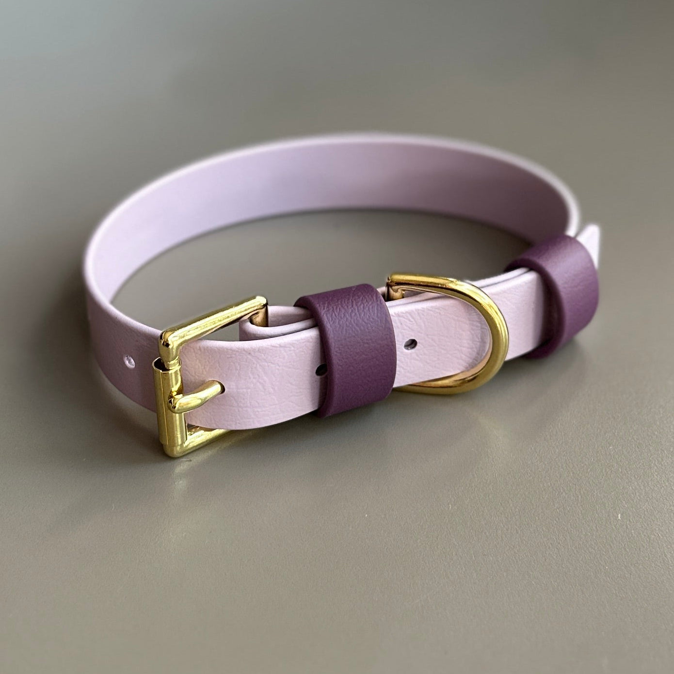 Saffy Colourblock BioThane® Collar