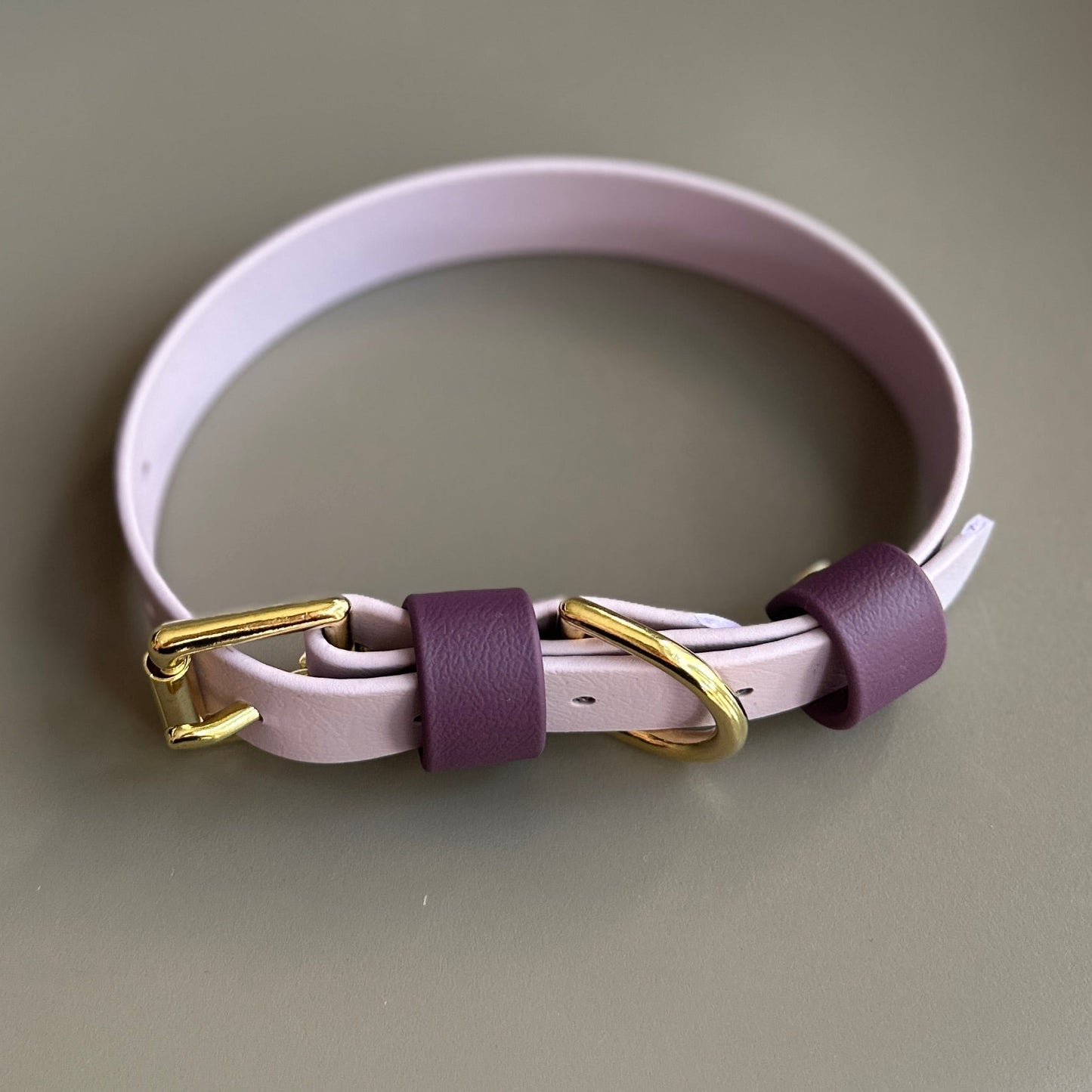 Saffy Colourblock BioThane® Collar
