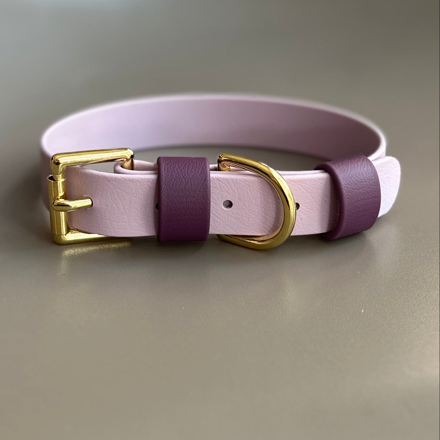 Saffy Colourblock BioThane® Collar