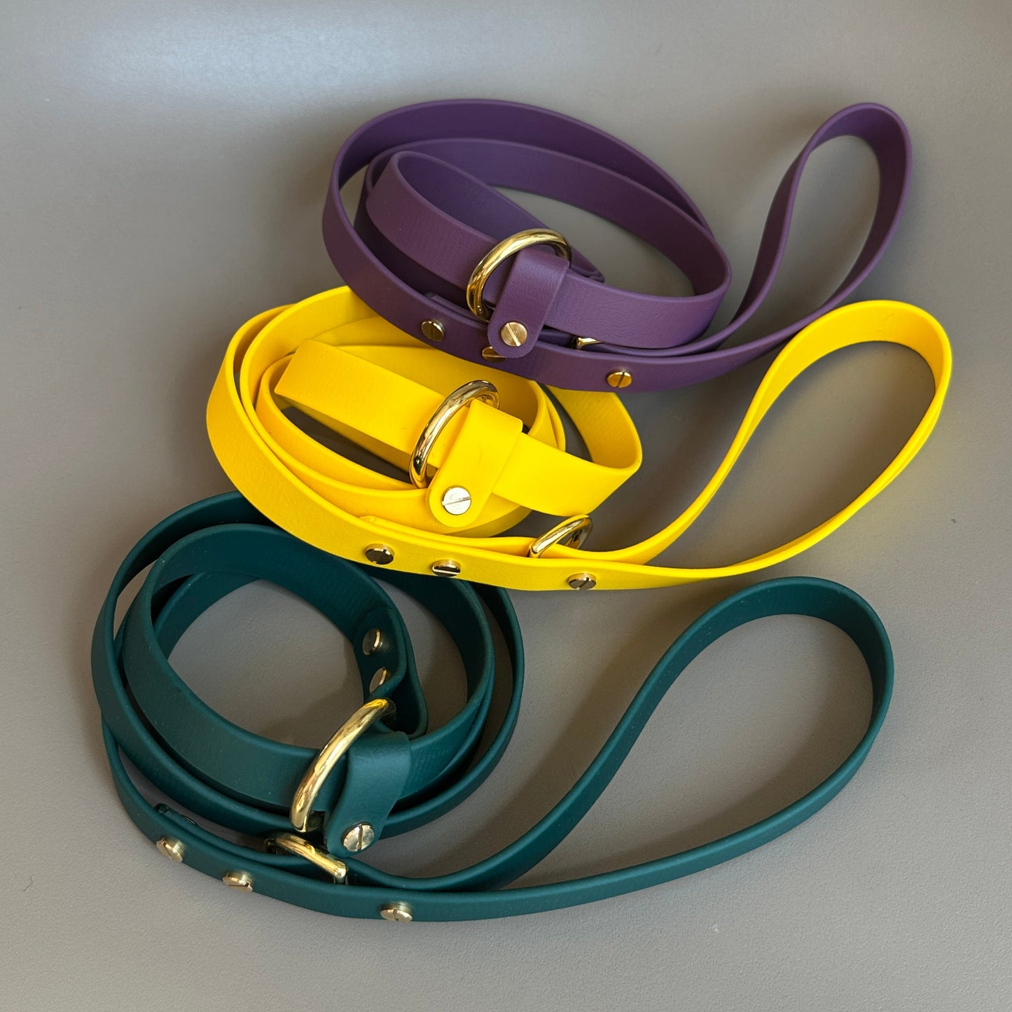 BioThane® 19mm Slip Lead