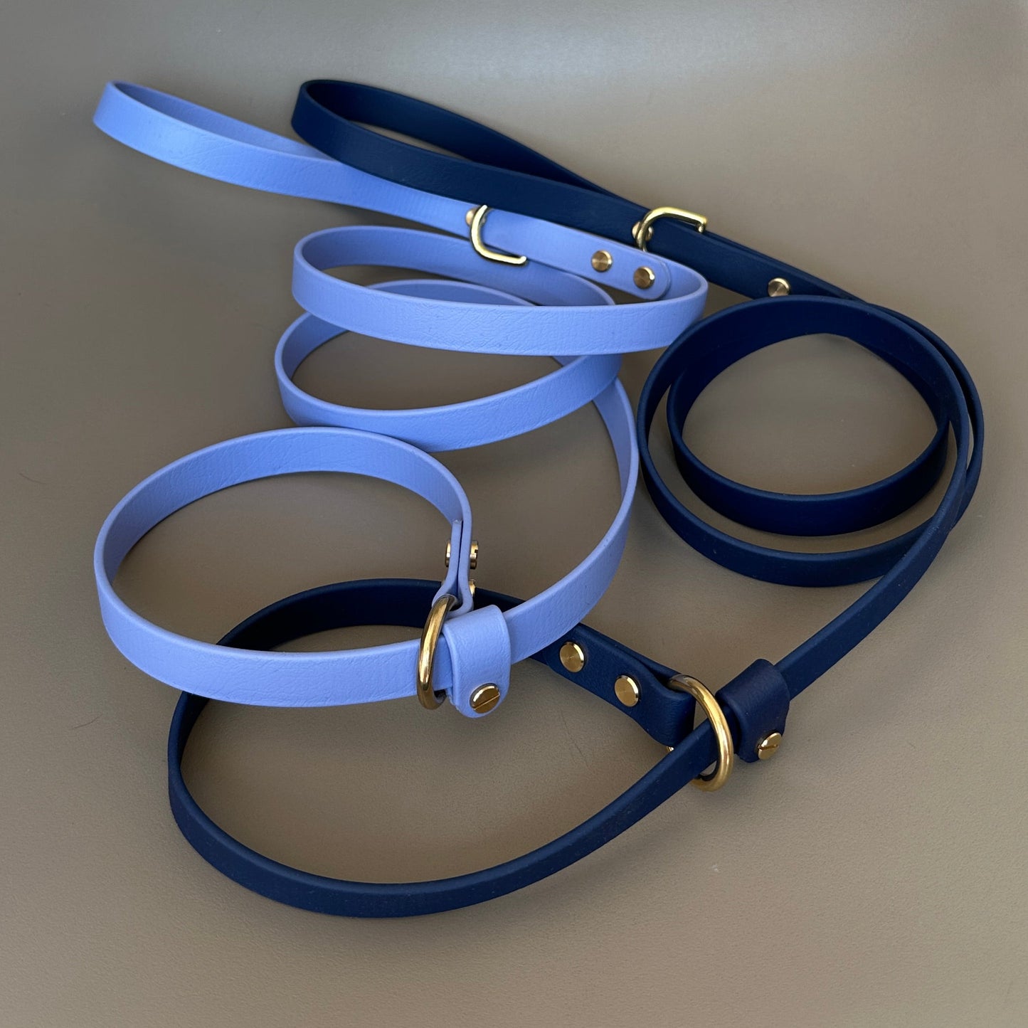 BioThane® 16mm Slip Lead