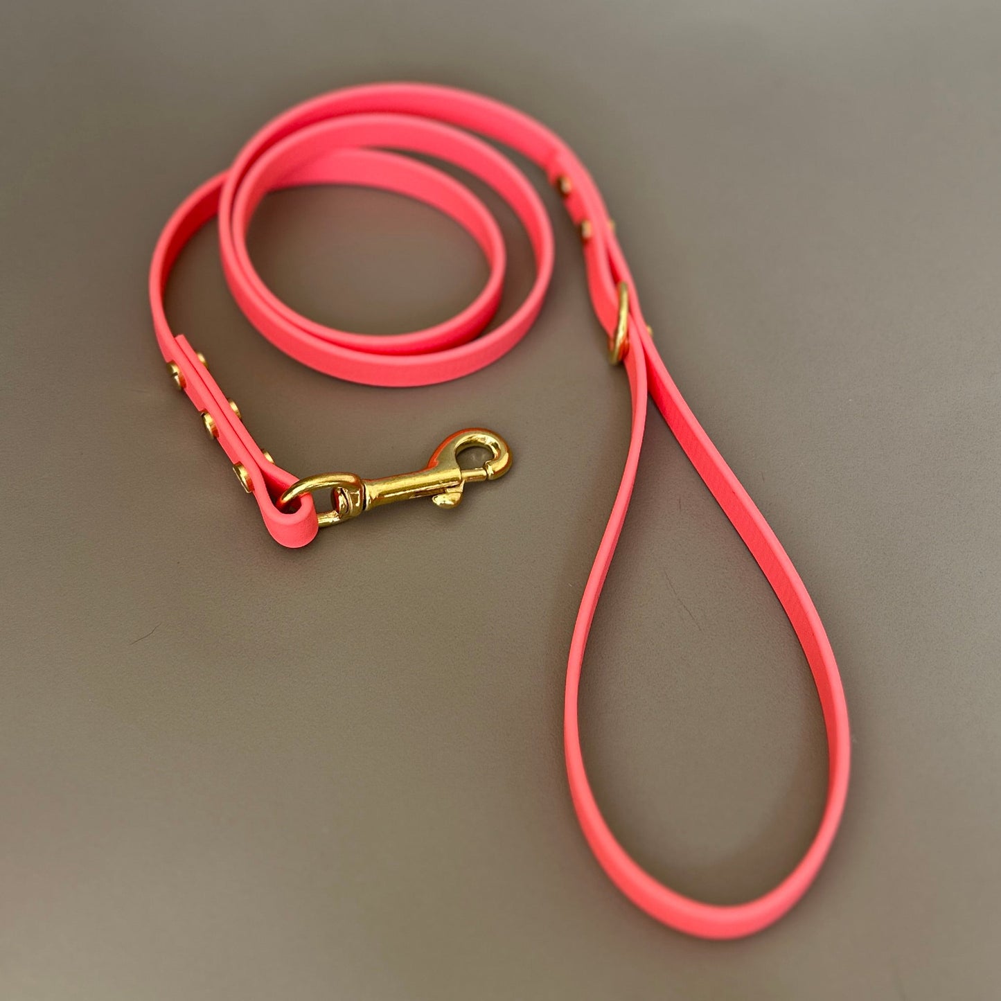 BioThane® 12mm Skinny Lead
