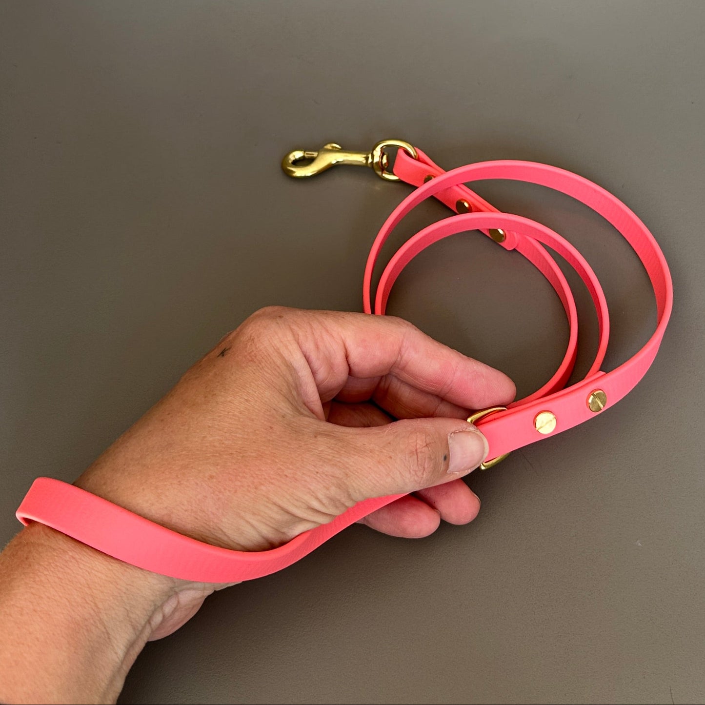 BioThane® 12mm Skinny Lead