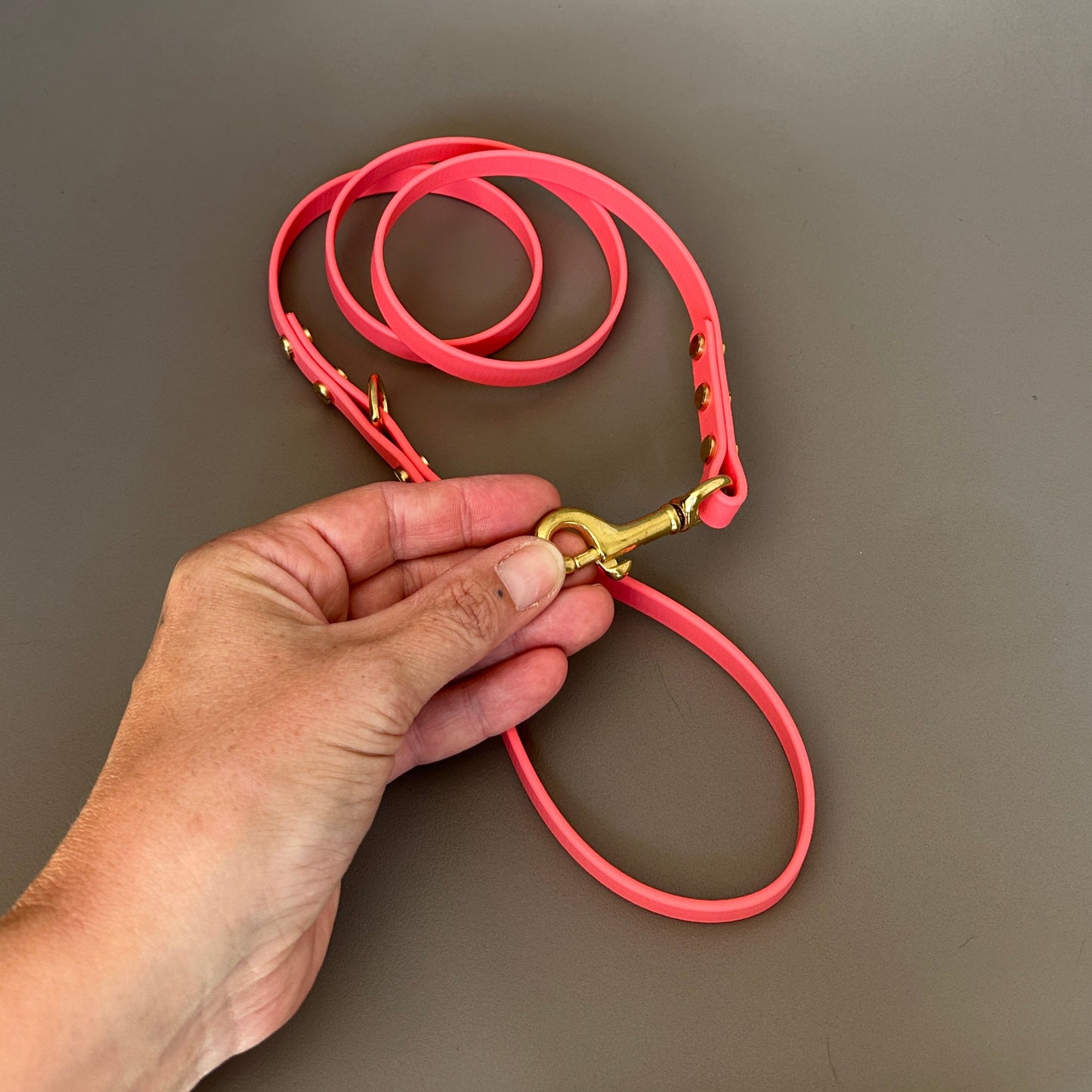 BioThane® 12mm Skinny Lead