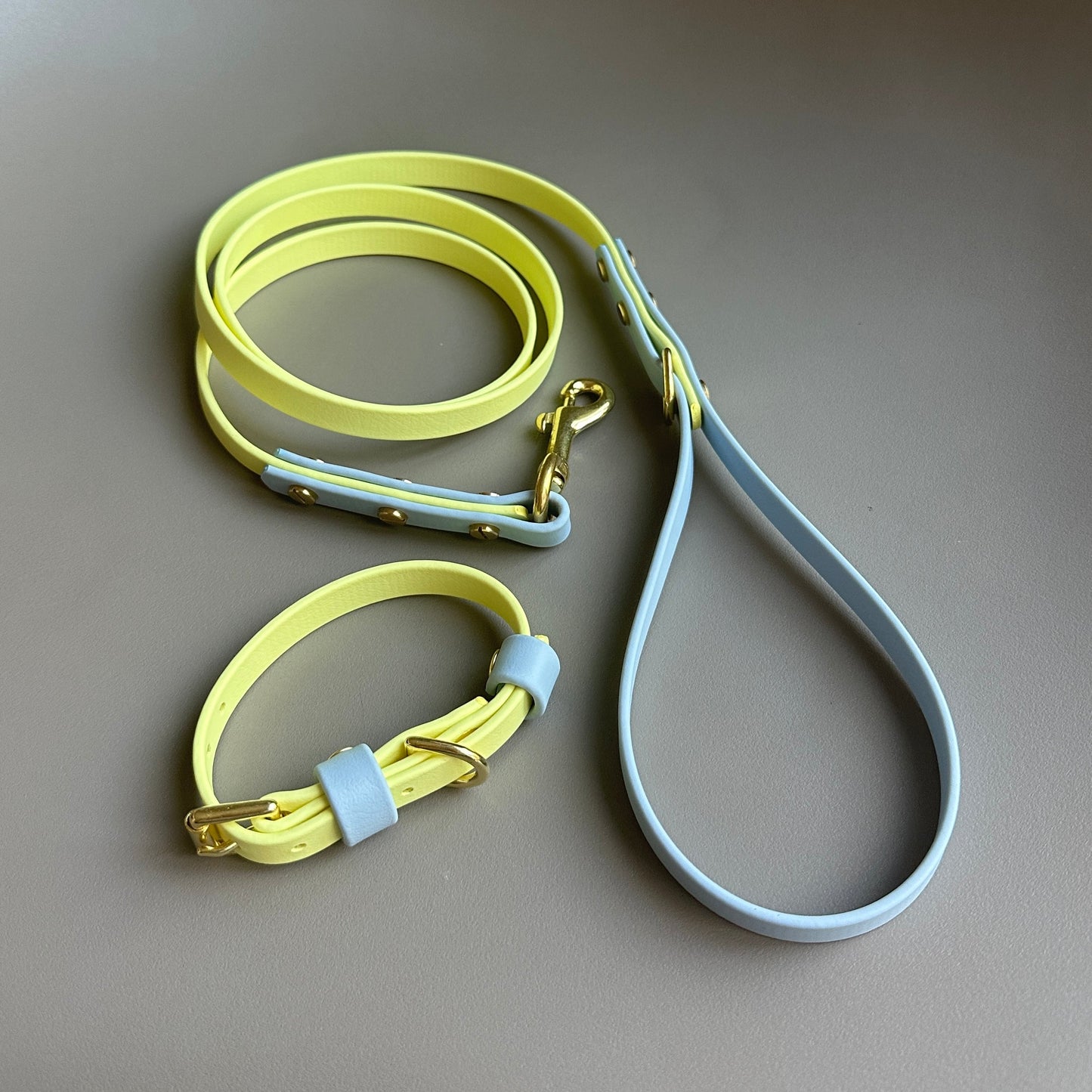Rory Colourblock BioThane® Collar