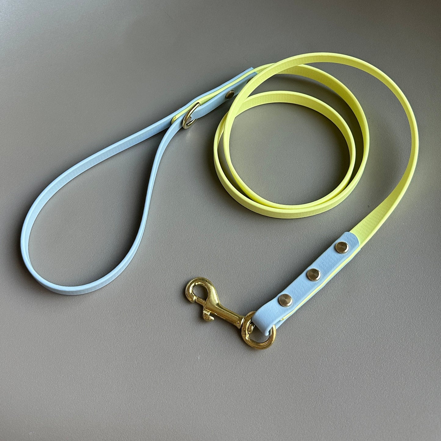 Rory Colourblock BioThane® Lead