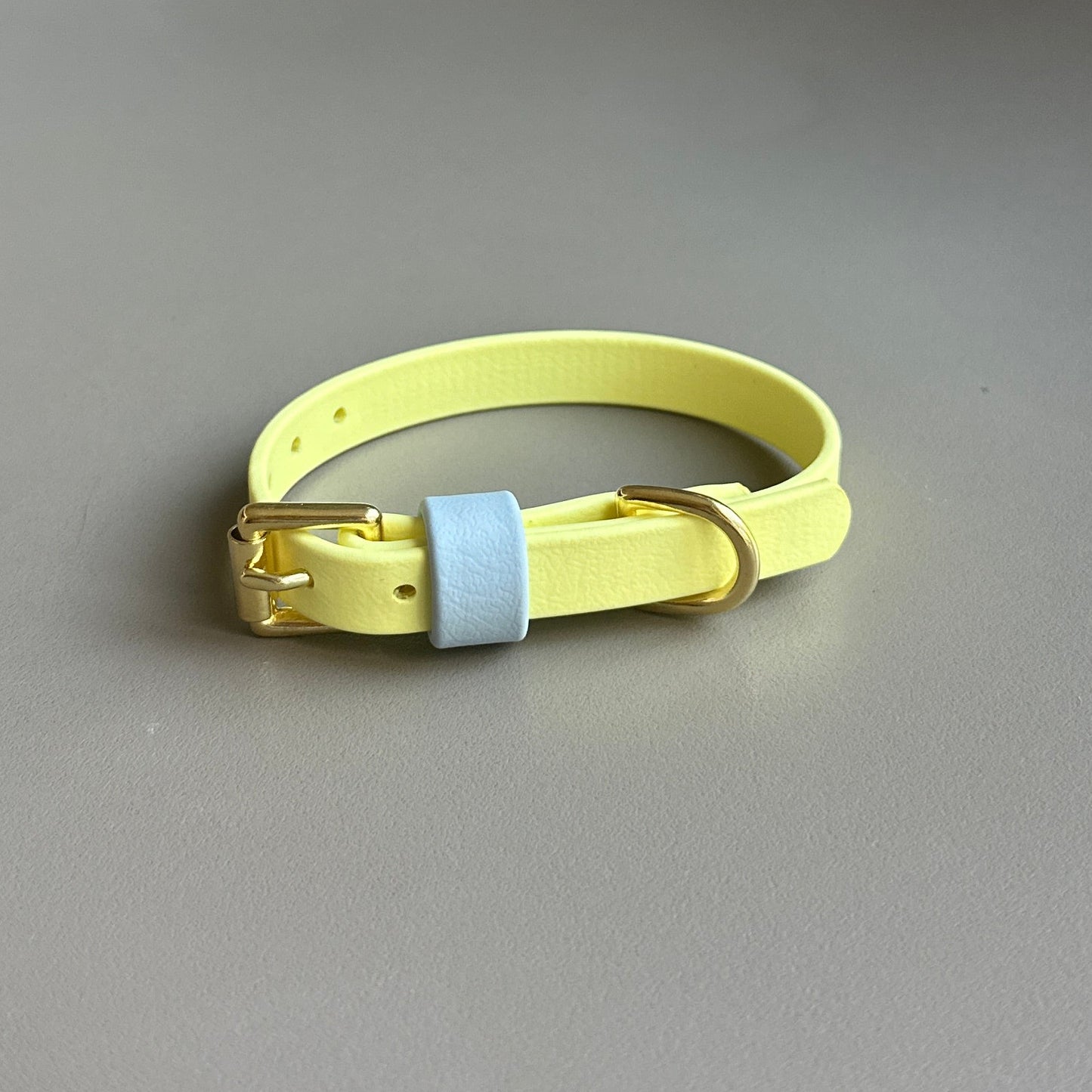 Rory Colourblock BioThane® Collar