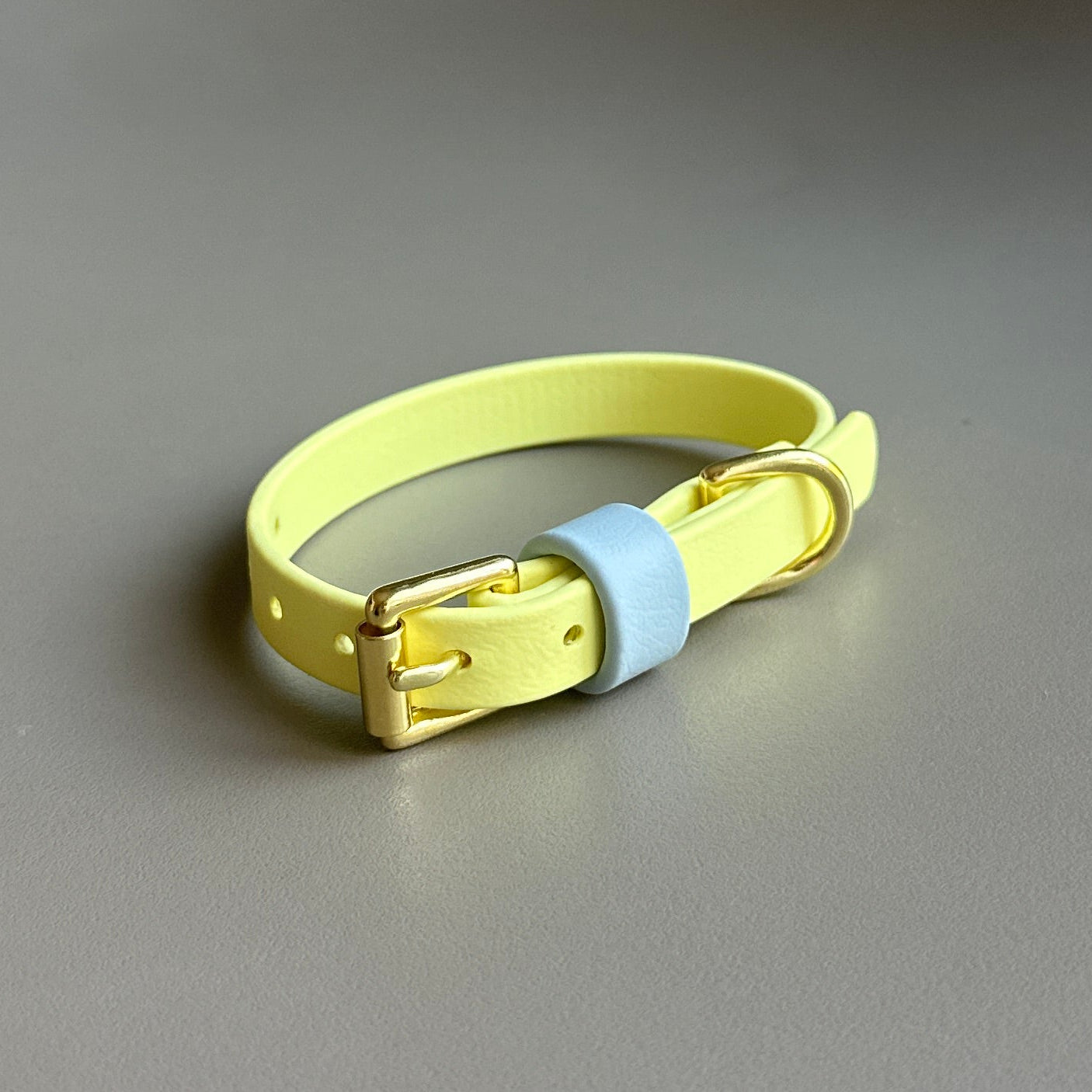 Rory Colourblock BioThane® Collar